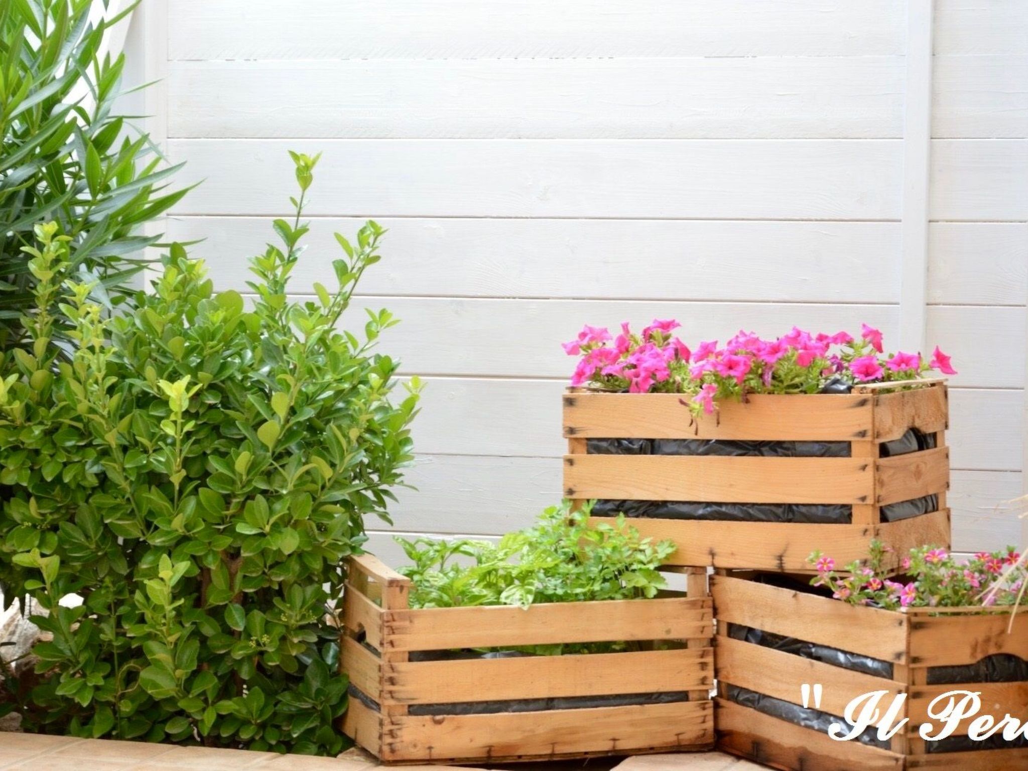 Il Pero - Ferienhaus Portacrànni-Draußen