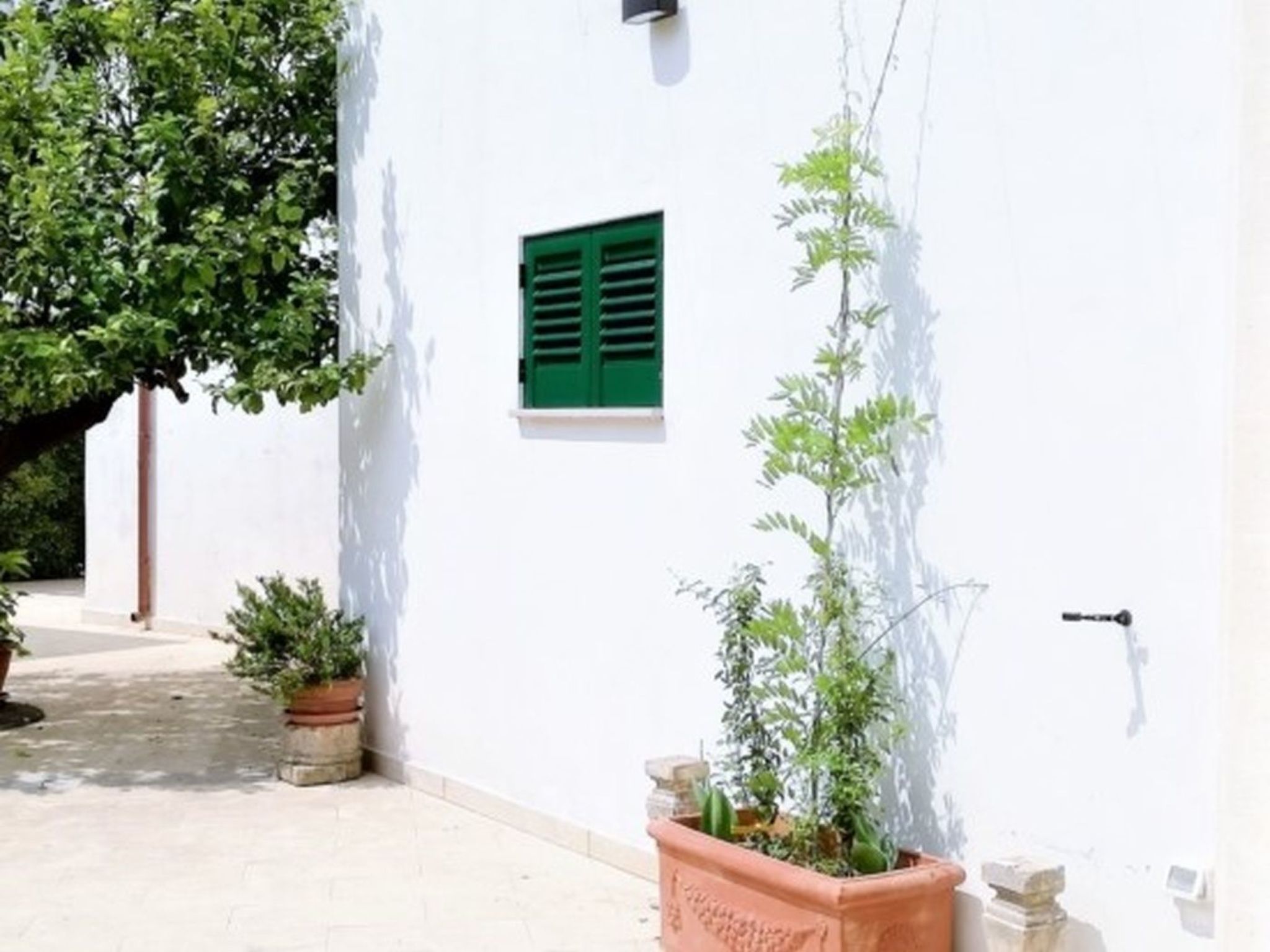 Agora-Wohnungen" in prestigeträchtigem historischen Gebäude-Binnen