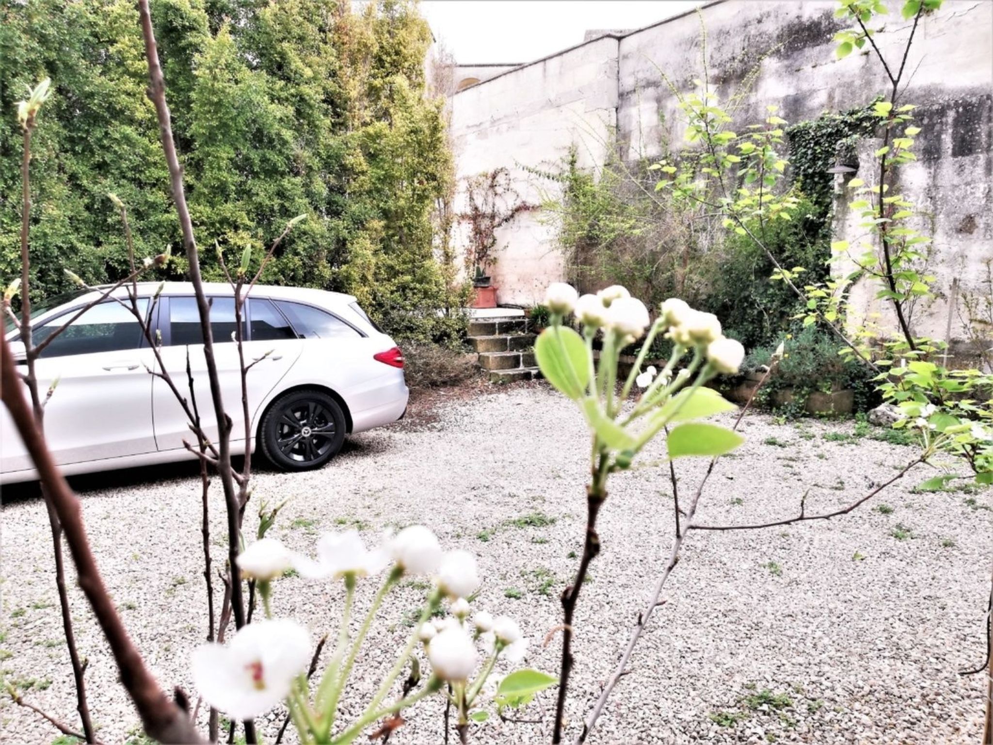 Agora-Wohnungen" in prestigeträchtigem historischen Gebäude-Binnen