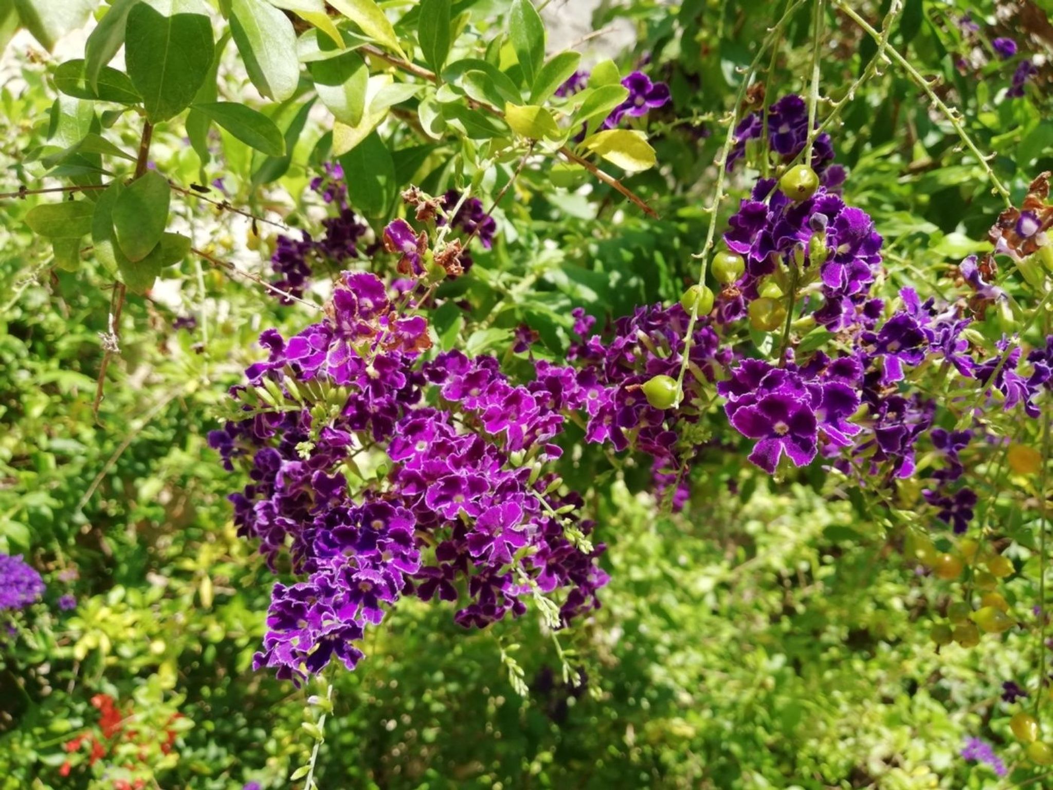 Agora-Wohnungen" in prestigeträchtigem historischen Gebäude-Binnen