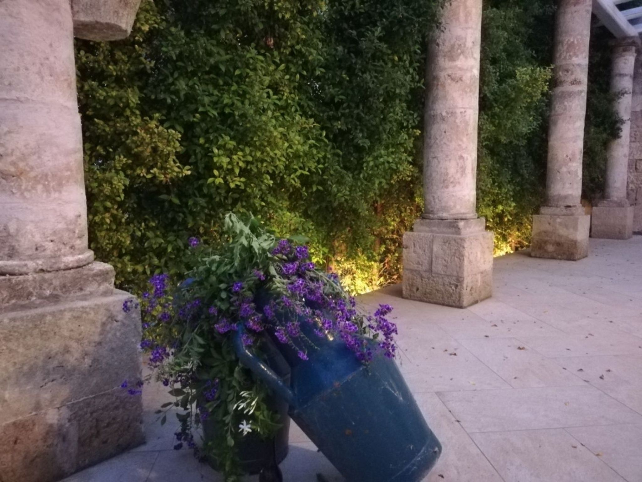 Agora-Wohnungen" in prestigeträchtigem historischen Gebäude-Binnen