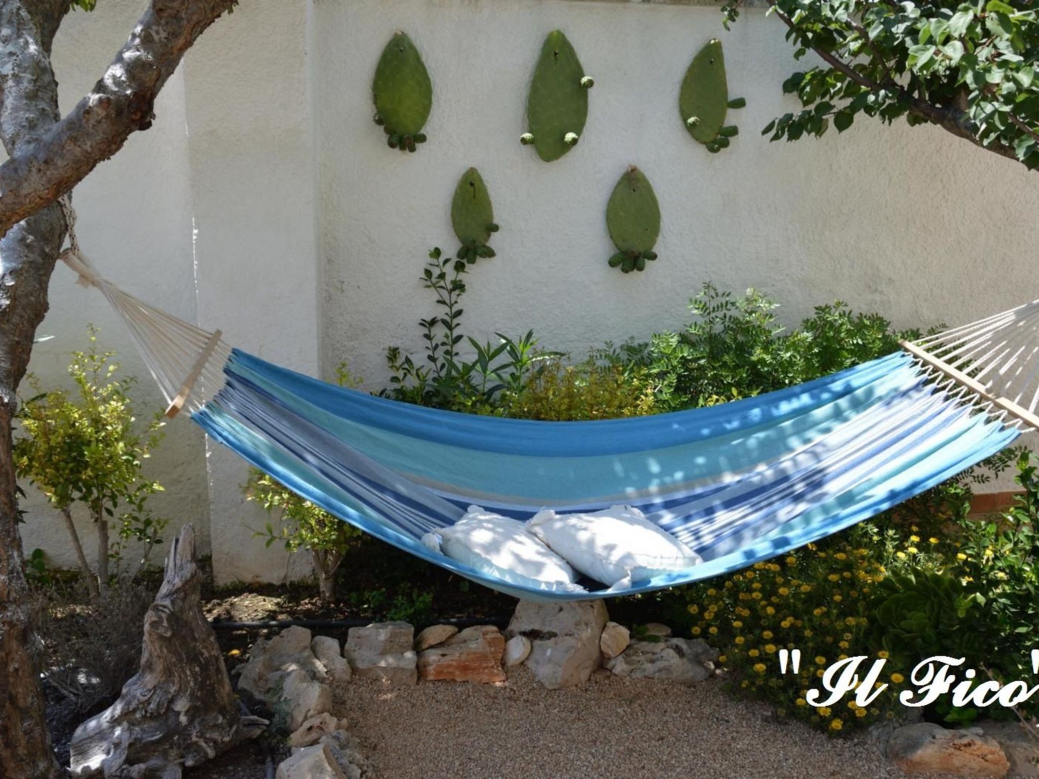 Il Fico - ganz in der Nähe des Meeres