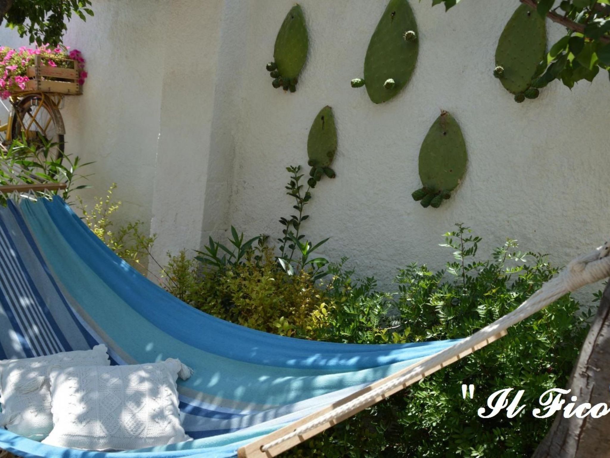 Il Fico - ganz in der Nähe des Meeres