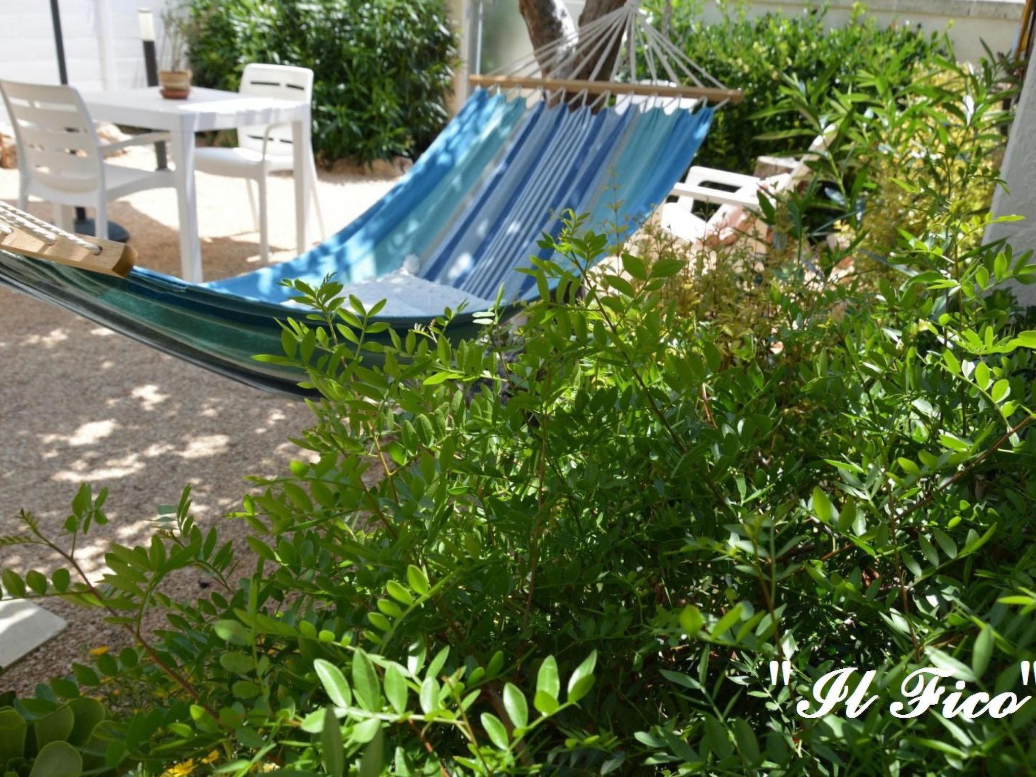 Il Fico - ganz in der Nähe des Meeres