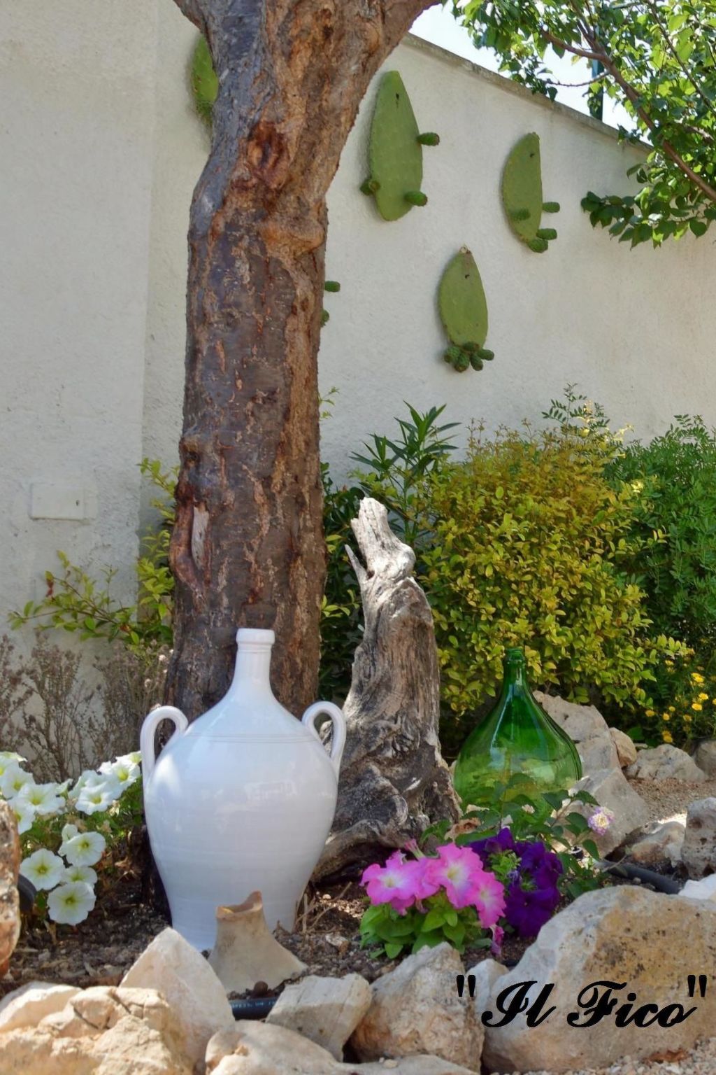 Il Fico - ganz in der Nähe des Meeres-Image-tags.info