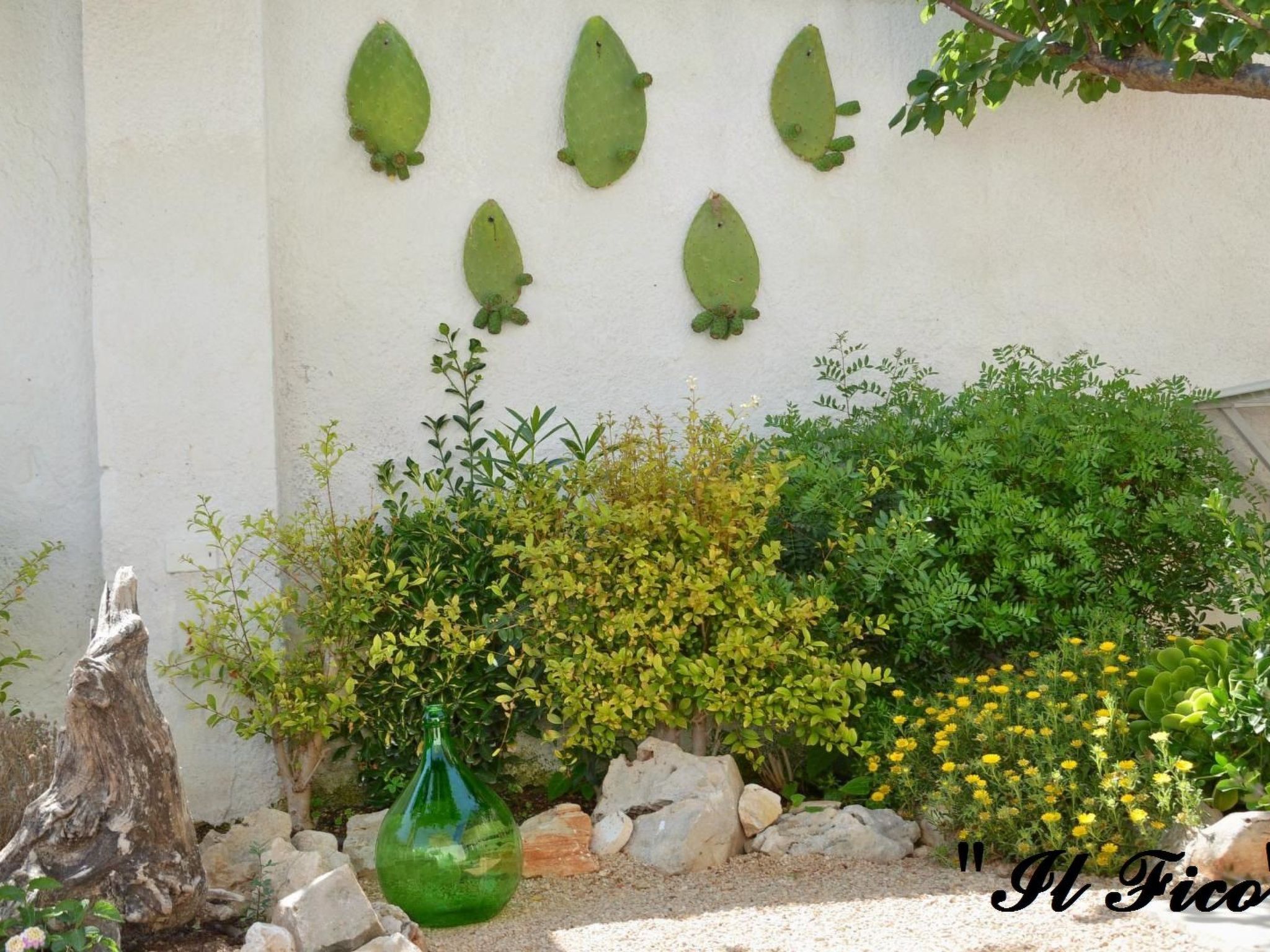 Il Fico - ganz in der Nähe des Meeres-Draußen