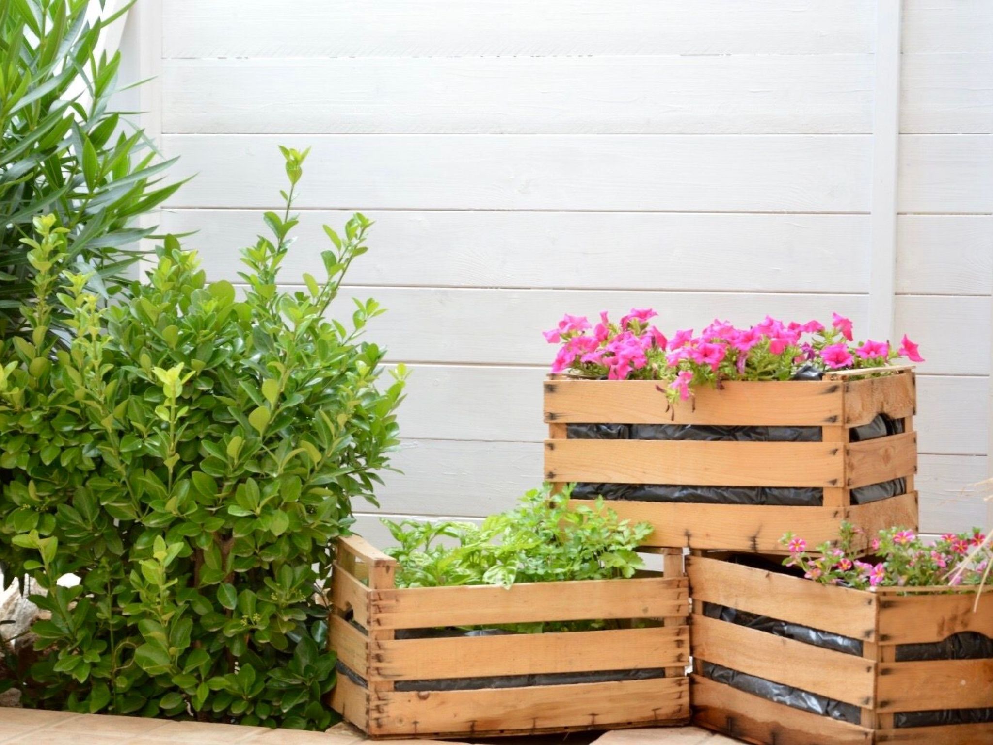 Il Pero - Ferienhaus Portacrànni-Draußen