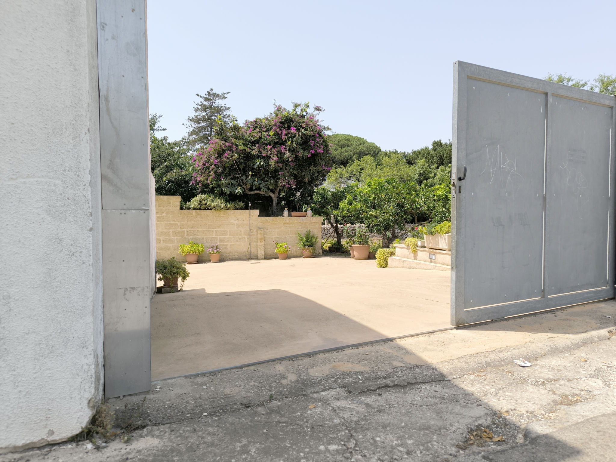 Le Cementine - Dehors