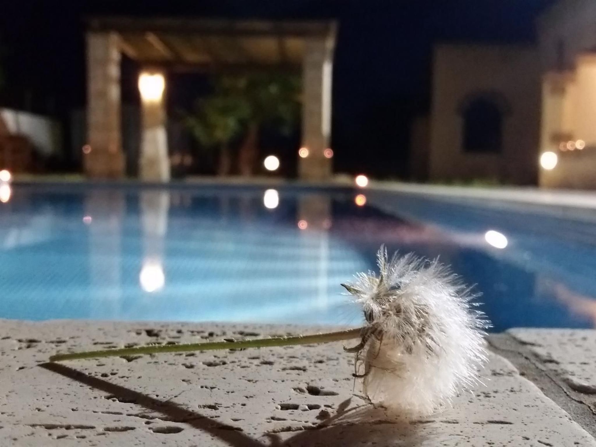 Gemütliche Ferienwohnung in Sogliano Cavour mit Terrasse, gemeinsamem Pool und-Dedans