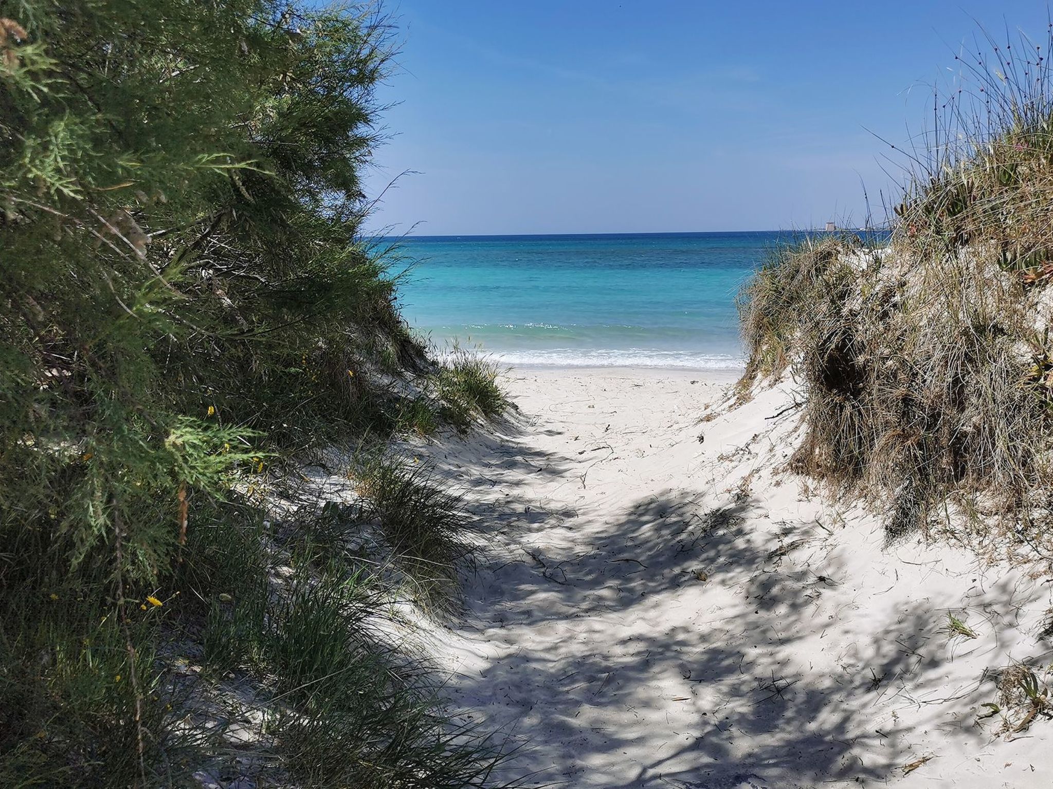 Suite Garden Plus-Binnen