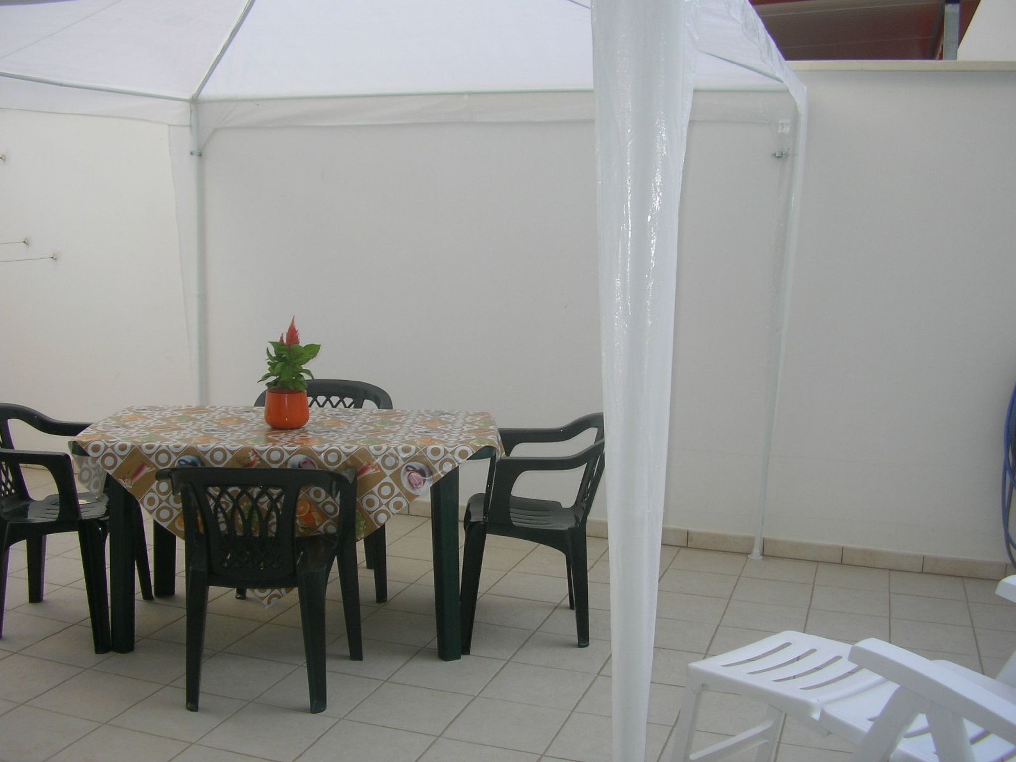 Helle Kellerwohnung-Image-tags.info