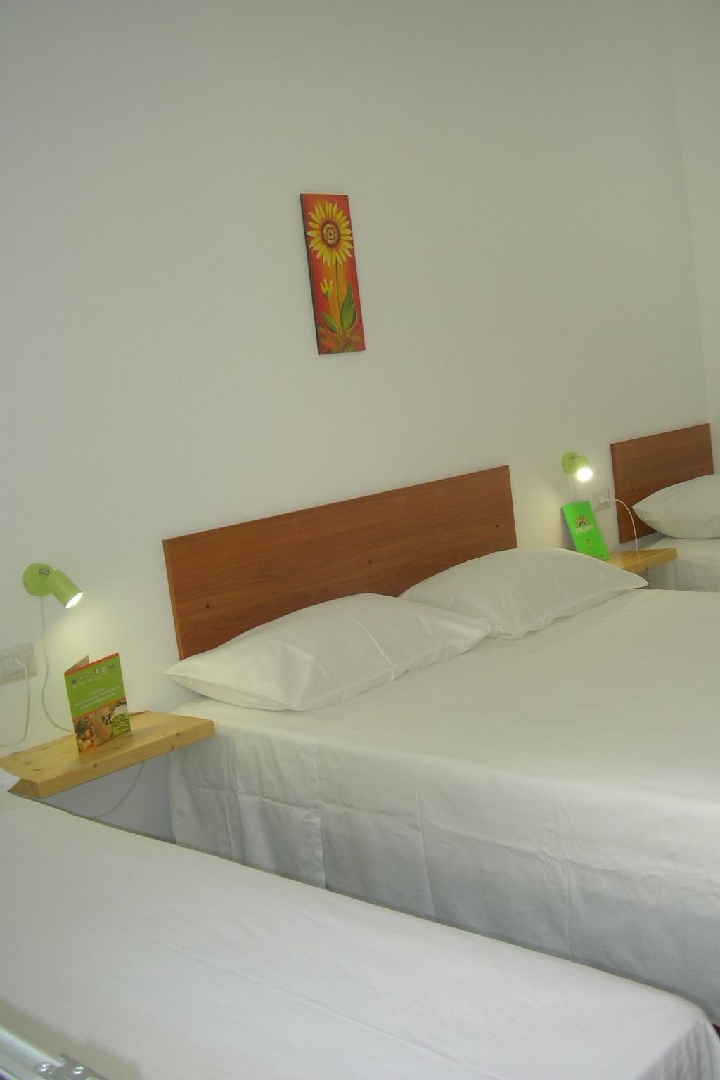 Helle Kellerwohnung-Image-tags.info