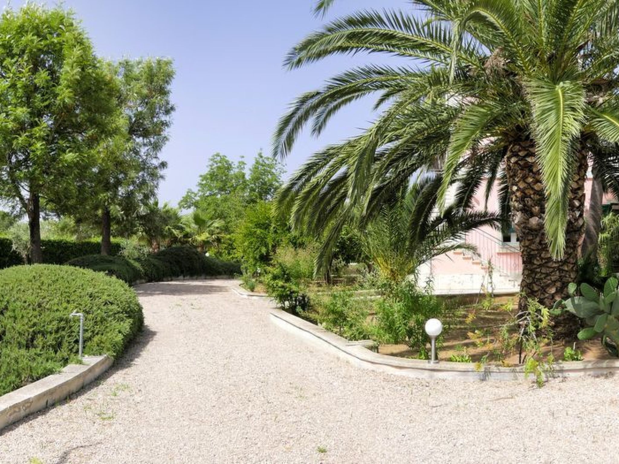 Sirgole Rosa-Drinnen