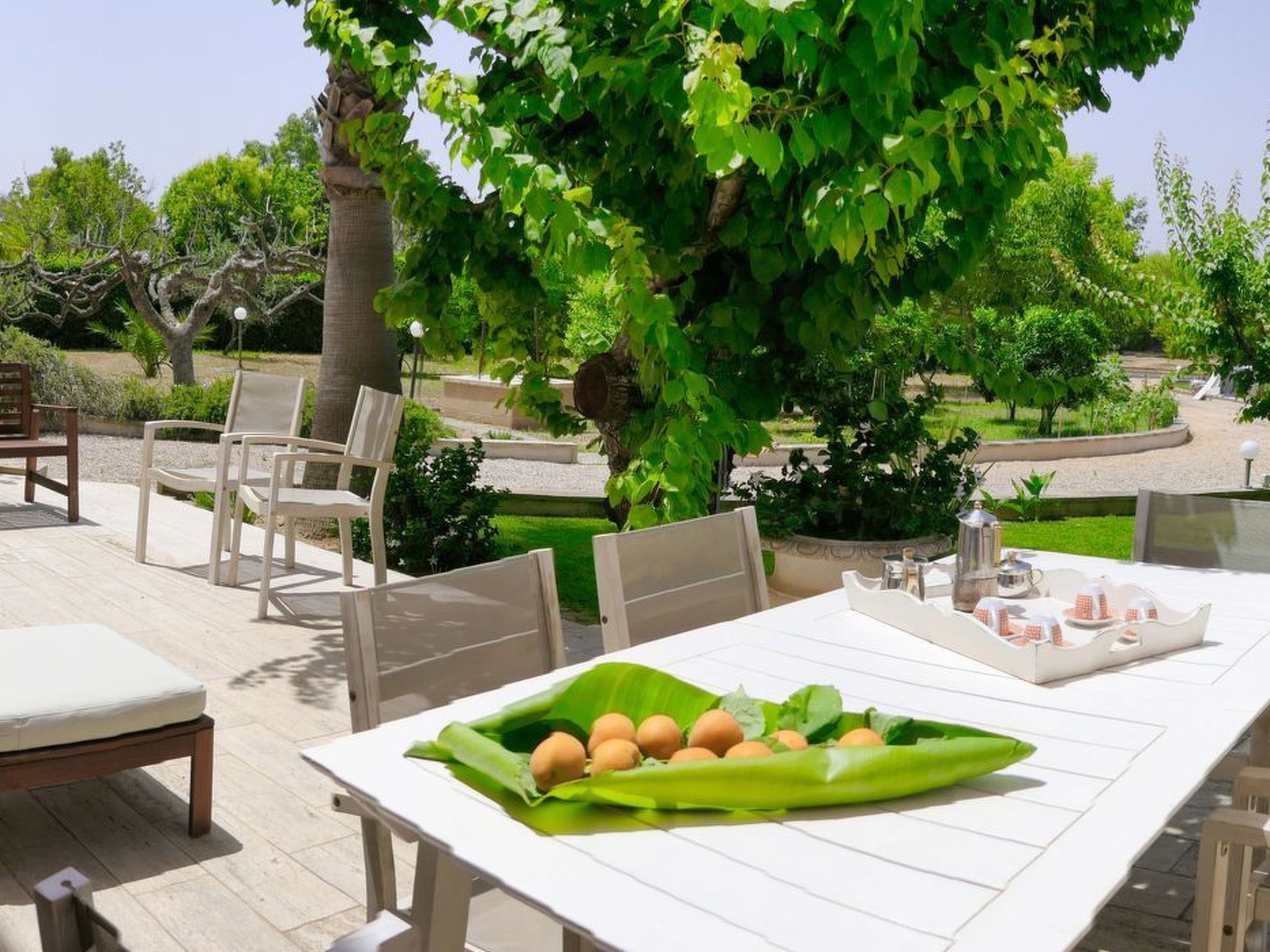 Sirgole Rosa-Drinnen