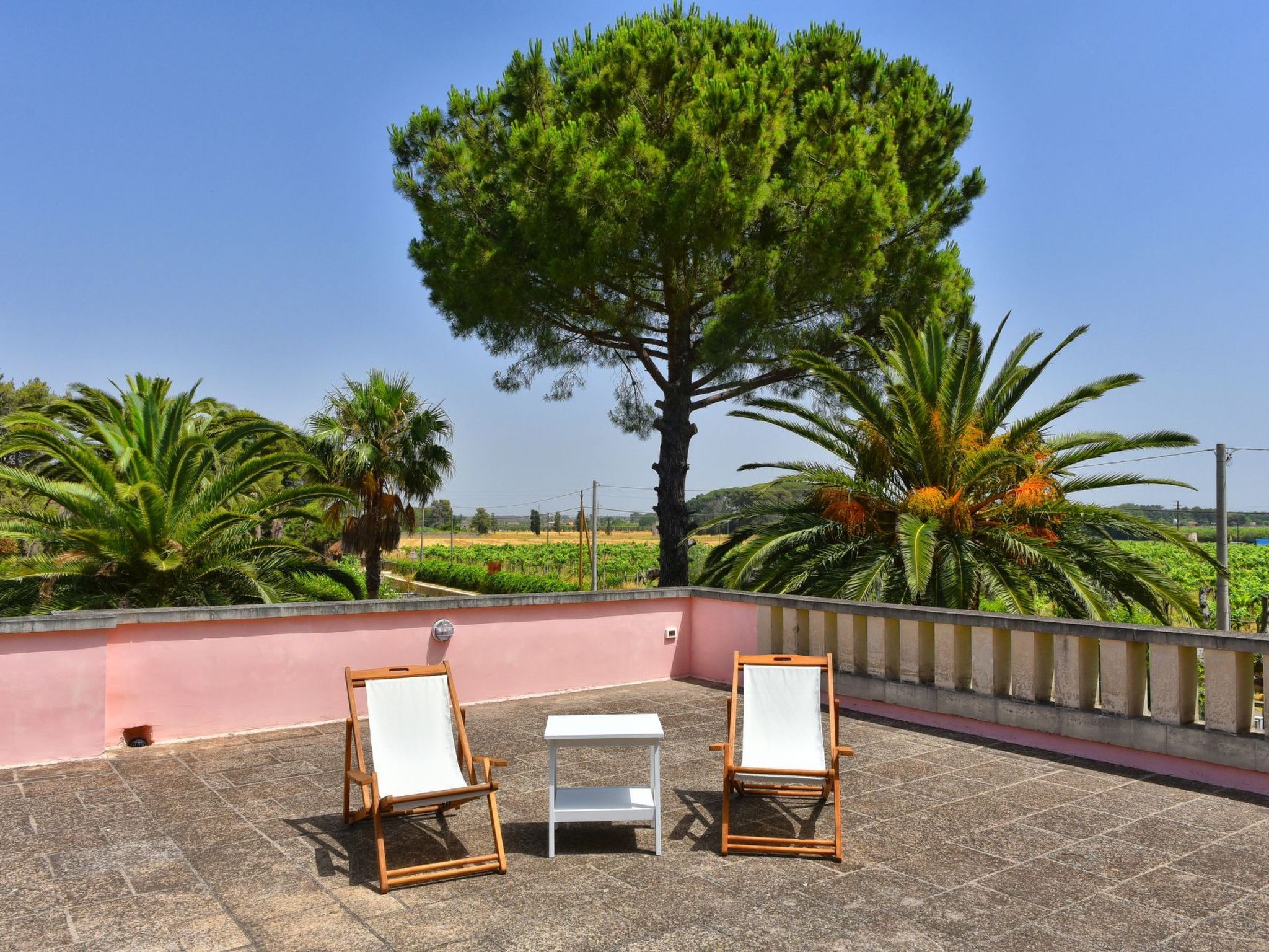 Sirgole Rosa-Drinnen