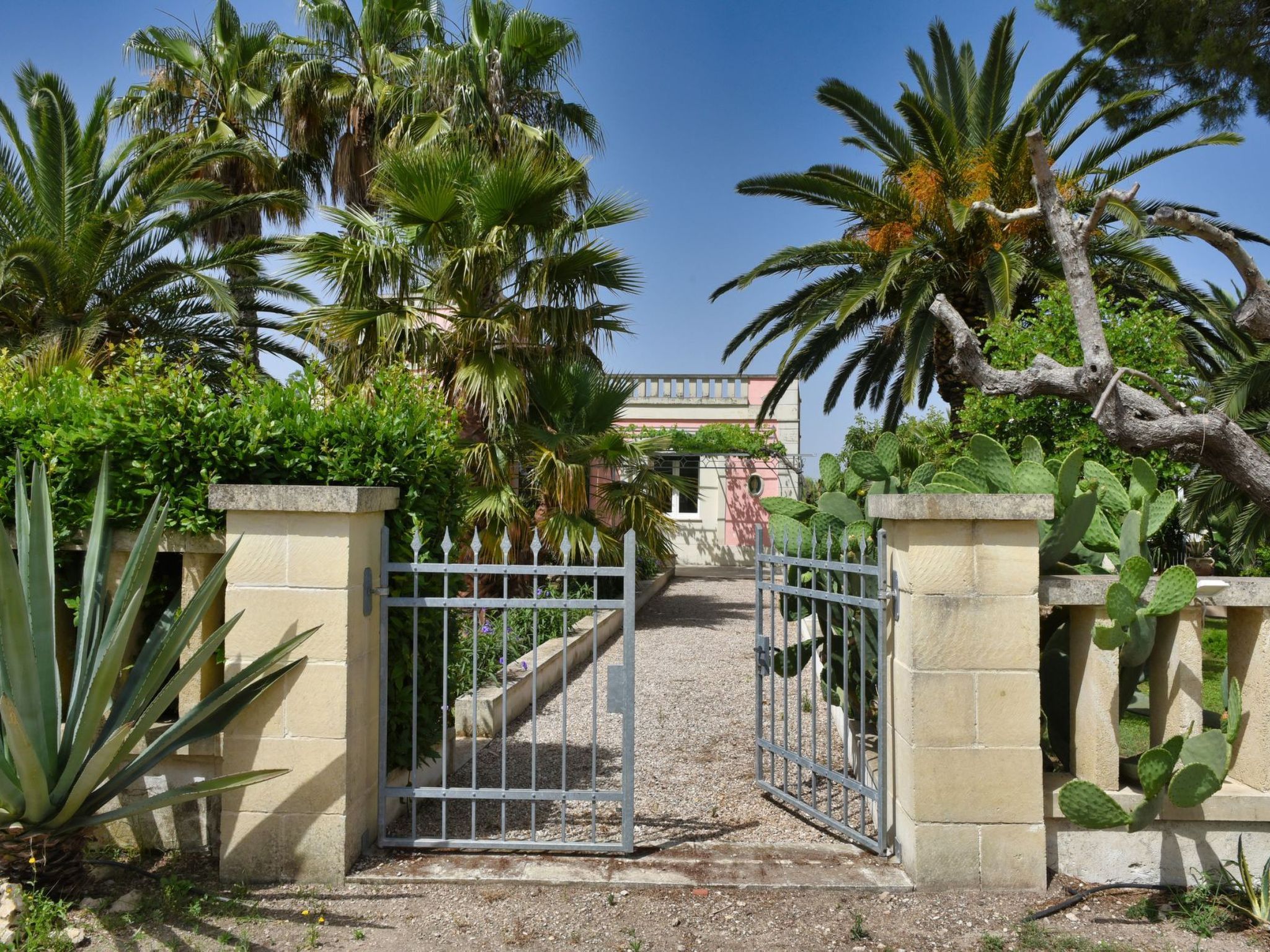 Sirgole Rosa-Drinnen