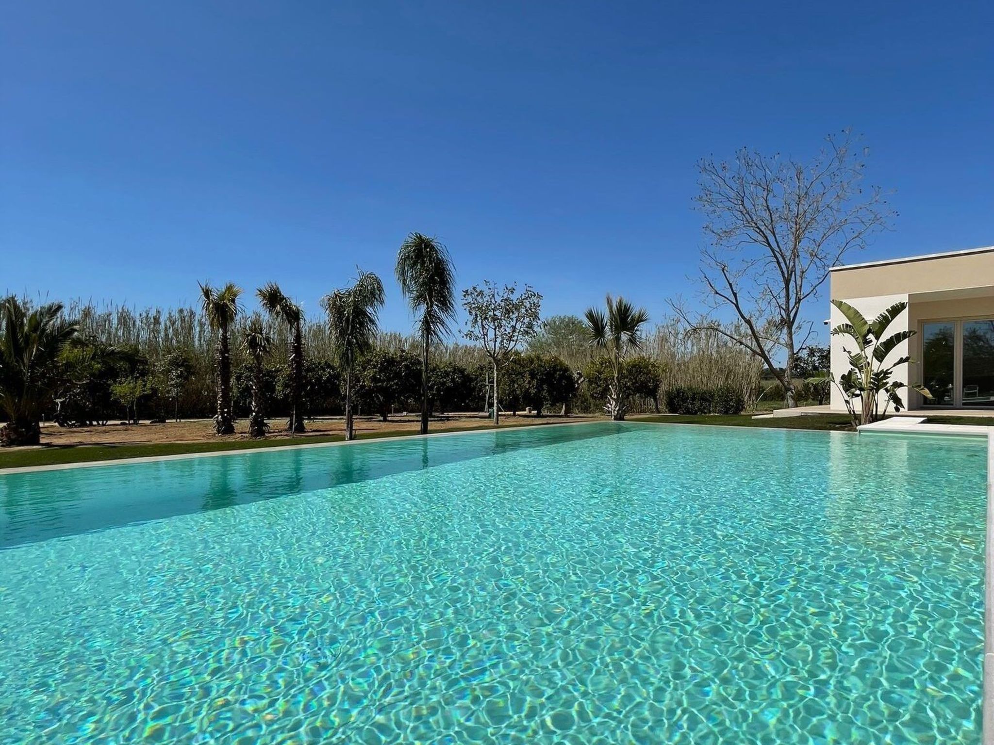 Sirgole Rosa-Drinnen