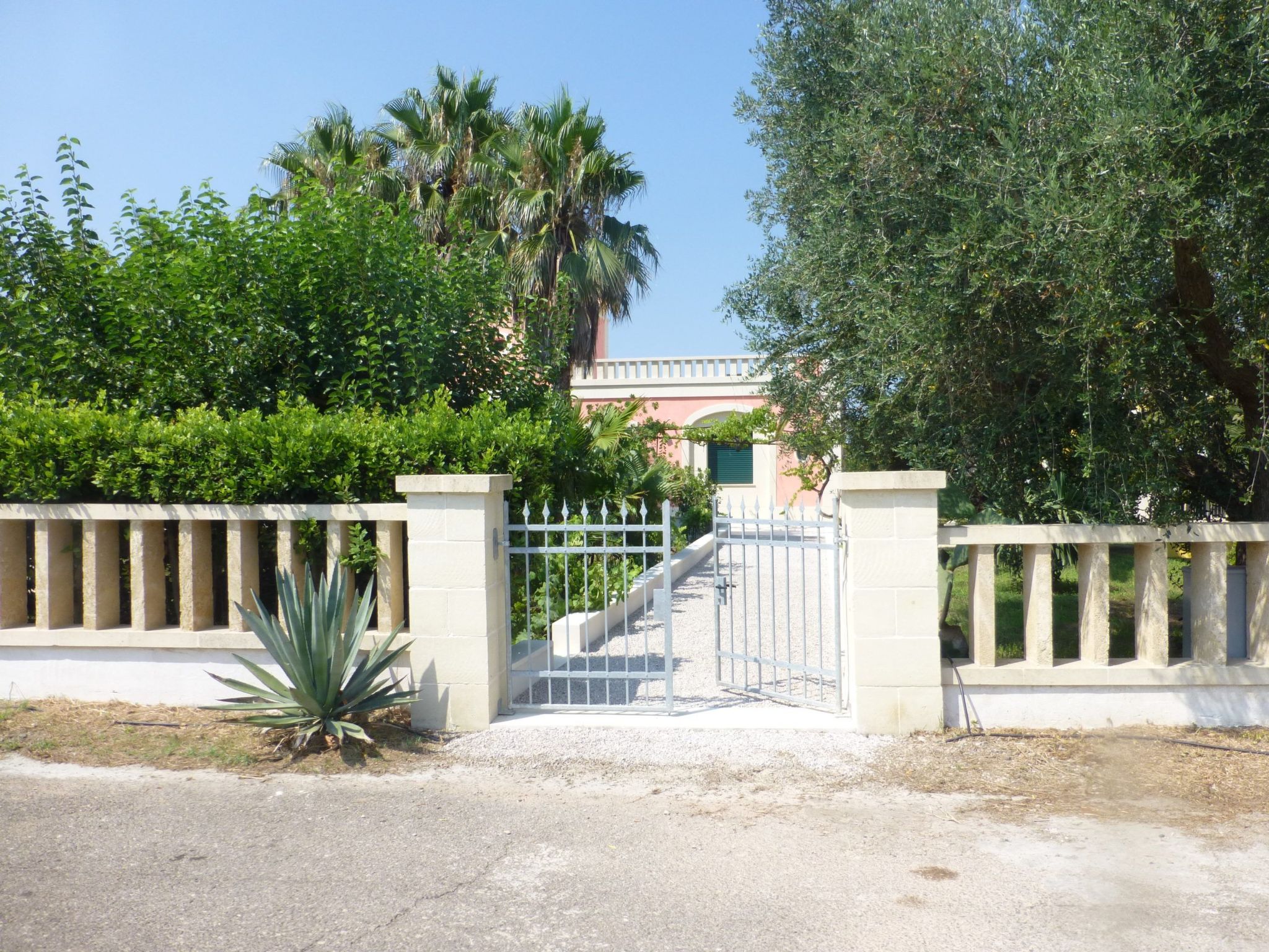 Sirgole Rosa-Drinnen