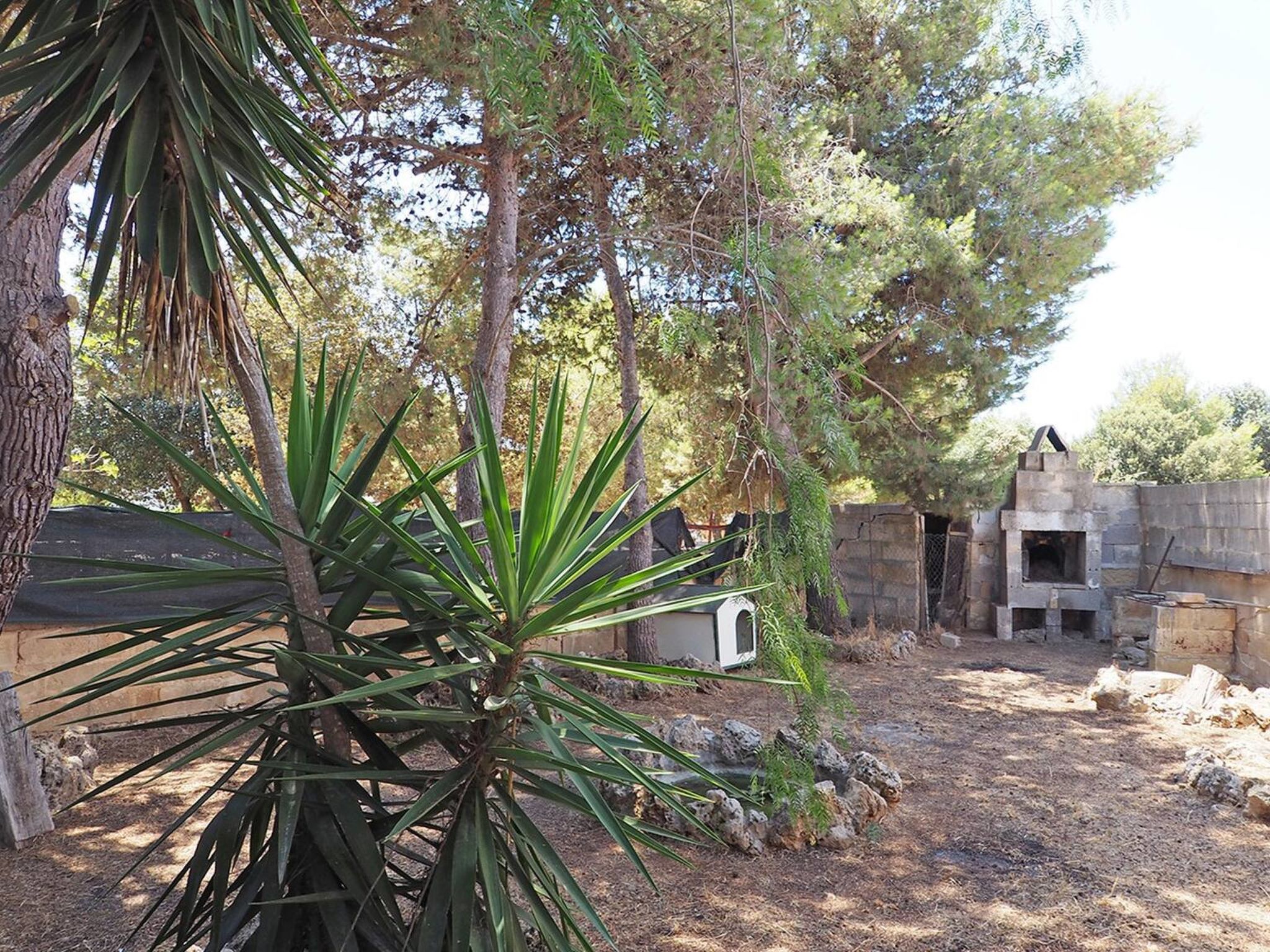 Villa Leda - Dedans
