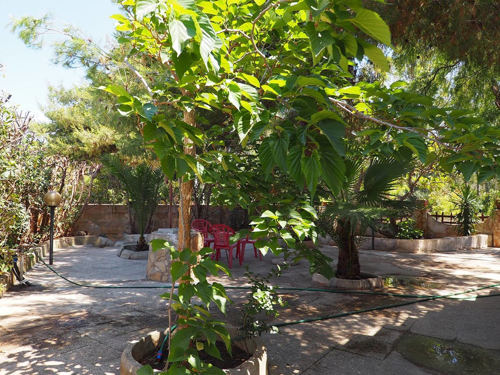 Villa Leda - Dedans