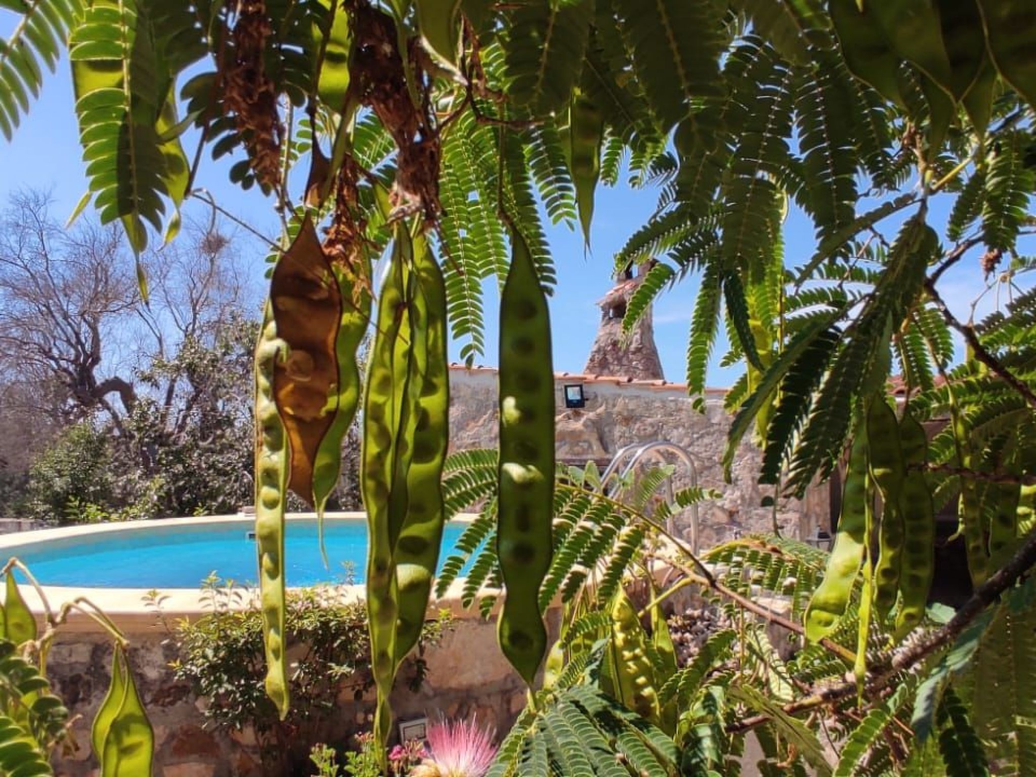 Villa Barone Landhaus mit Pool-Binnen