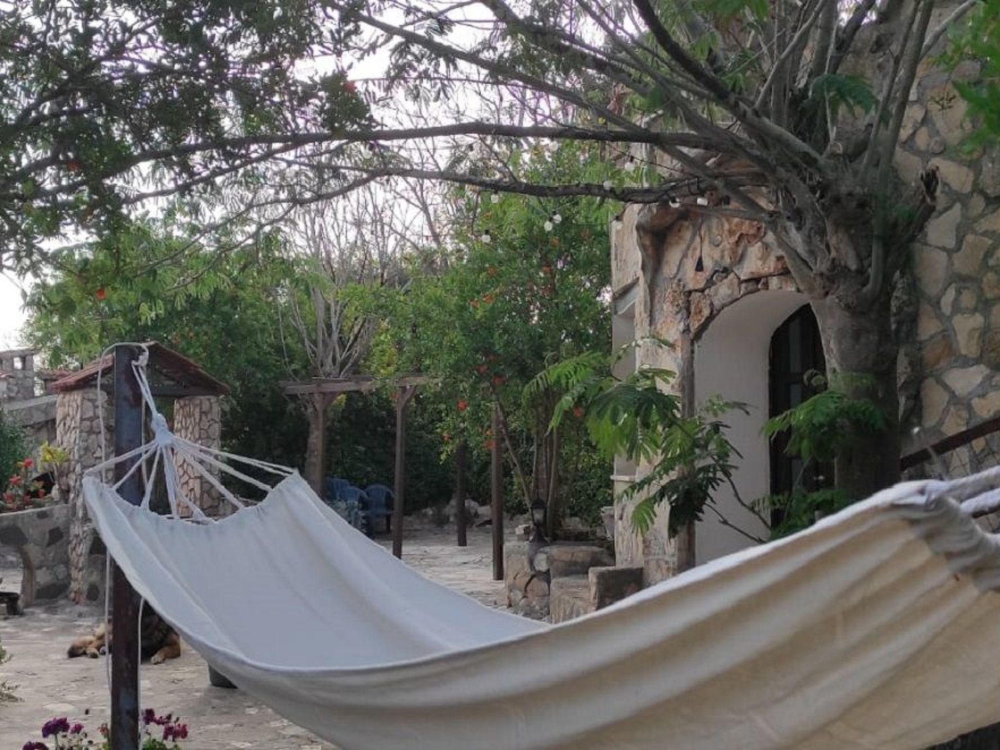 Villa Barone Landhaus mit Pool-Binnen