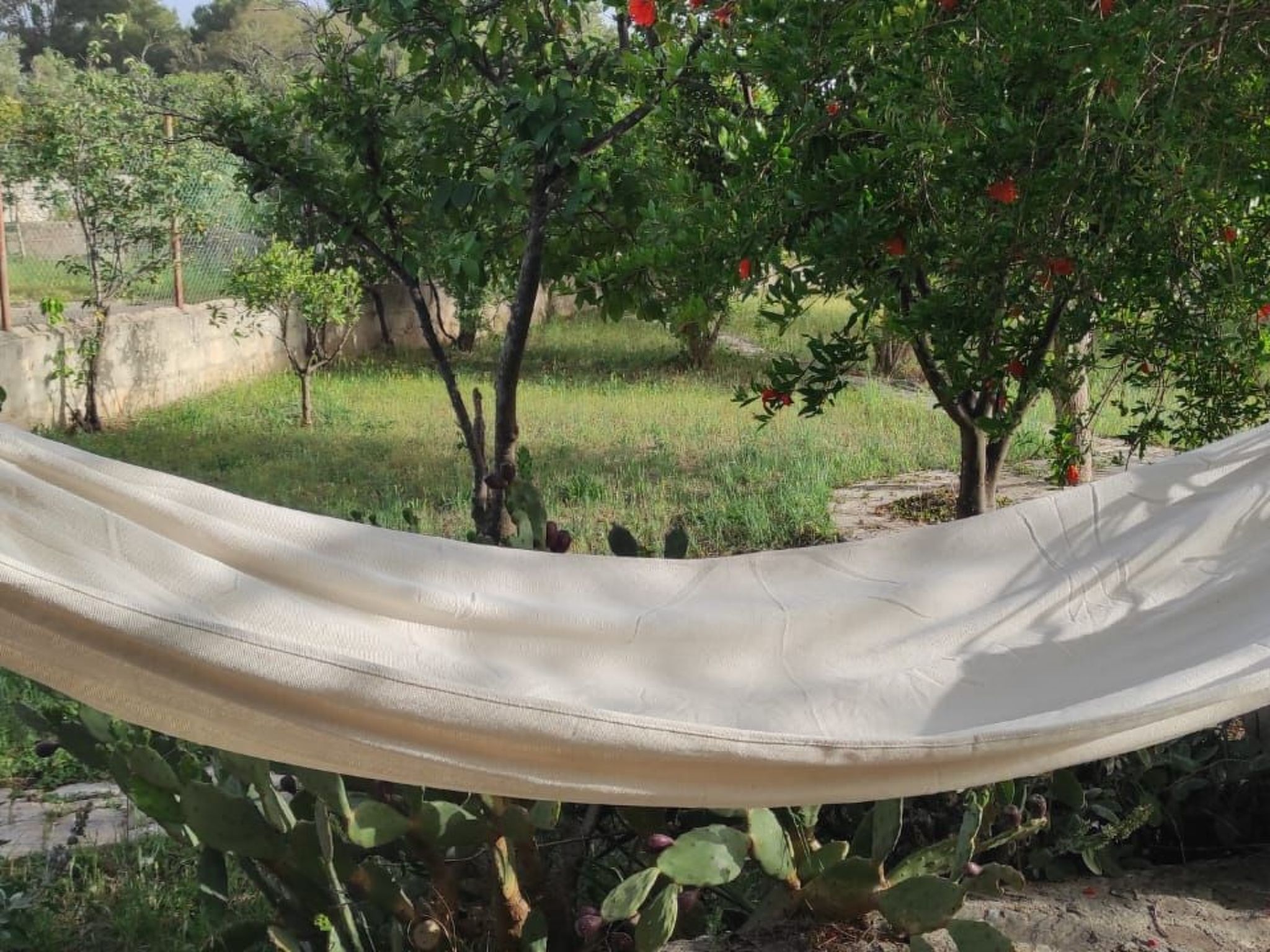 Villa Barone Landhaus mit Pool-Binnen