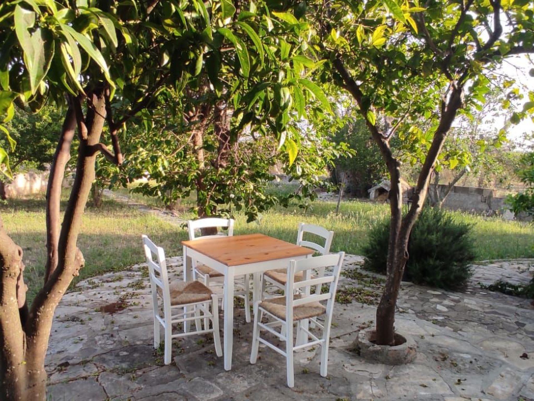 Villa Barone Landhaus mit Pool-Binnen