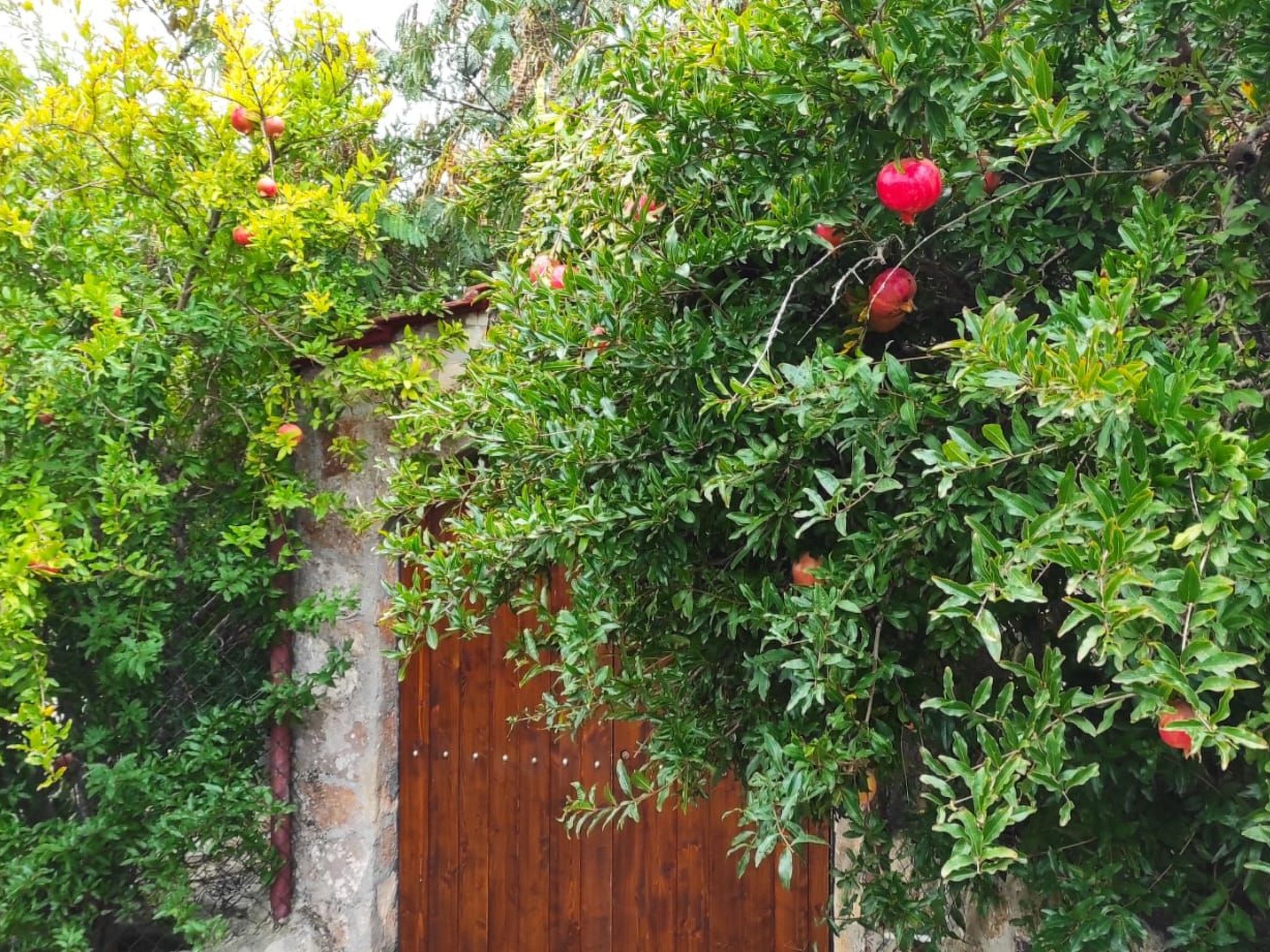 Villa Barone Landhaus mit Pool-Binnen