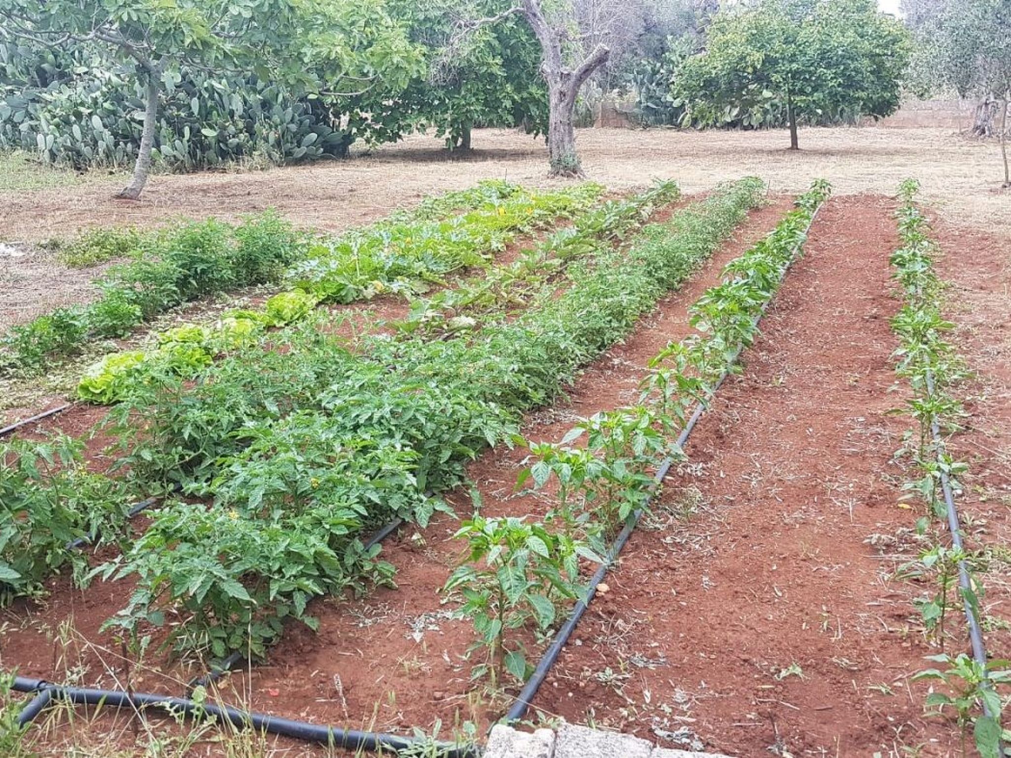 Villa Barone Landhaus mit Pool-Binnen