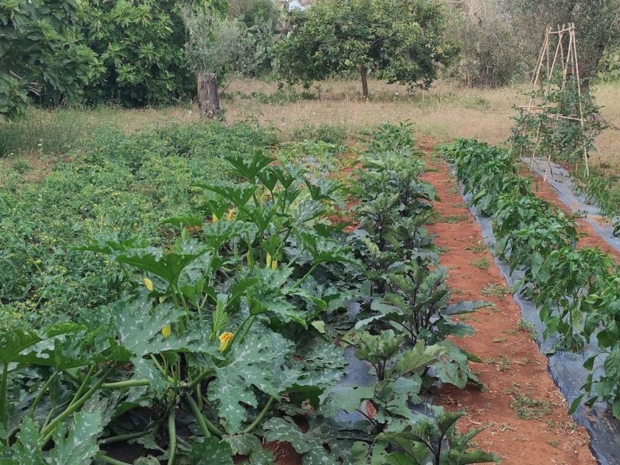 Villa Barone Landhaus mit Pool-Binnen