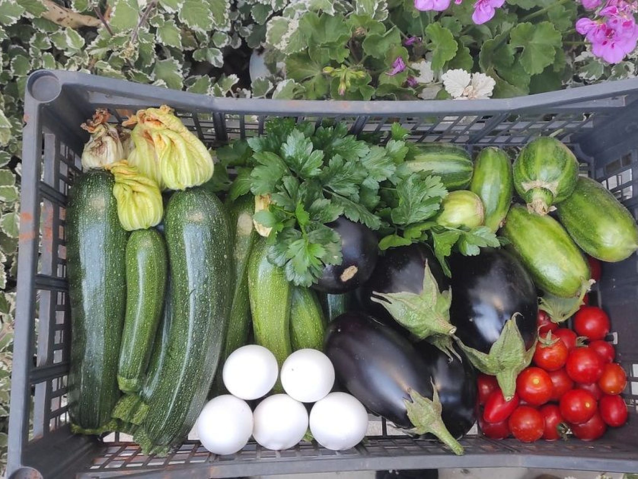 Villa Barone Landhaus mit Pool-Binnen