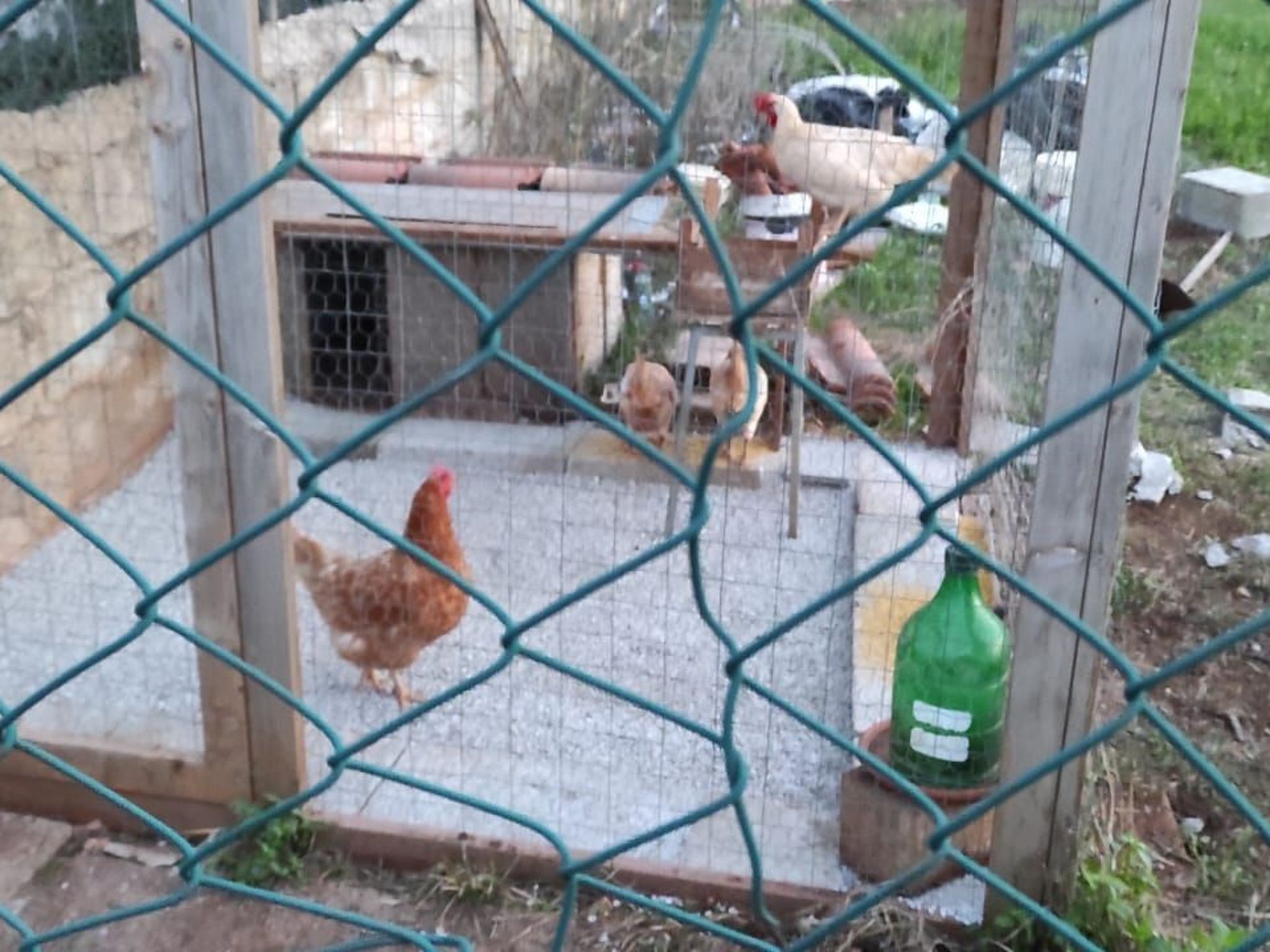 Villa Barone Landhaus mit Pool-Binnen