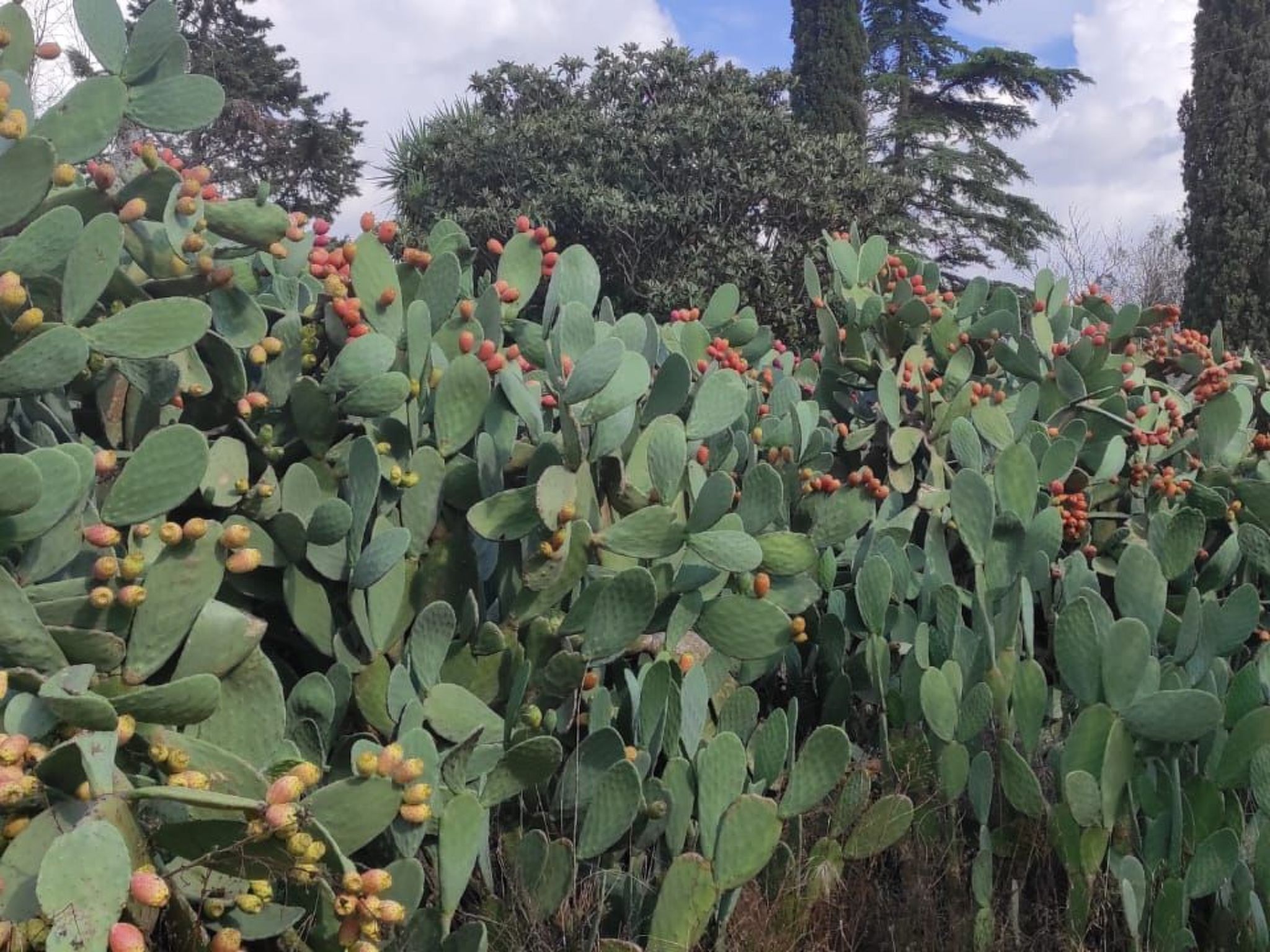 Villa Barone Landhaus mit Pool-Binnen