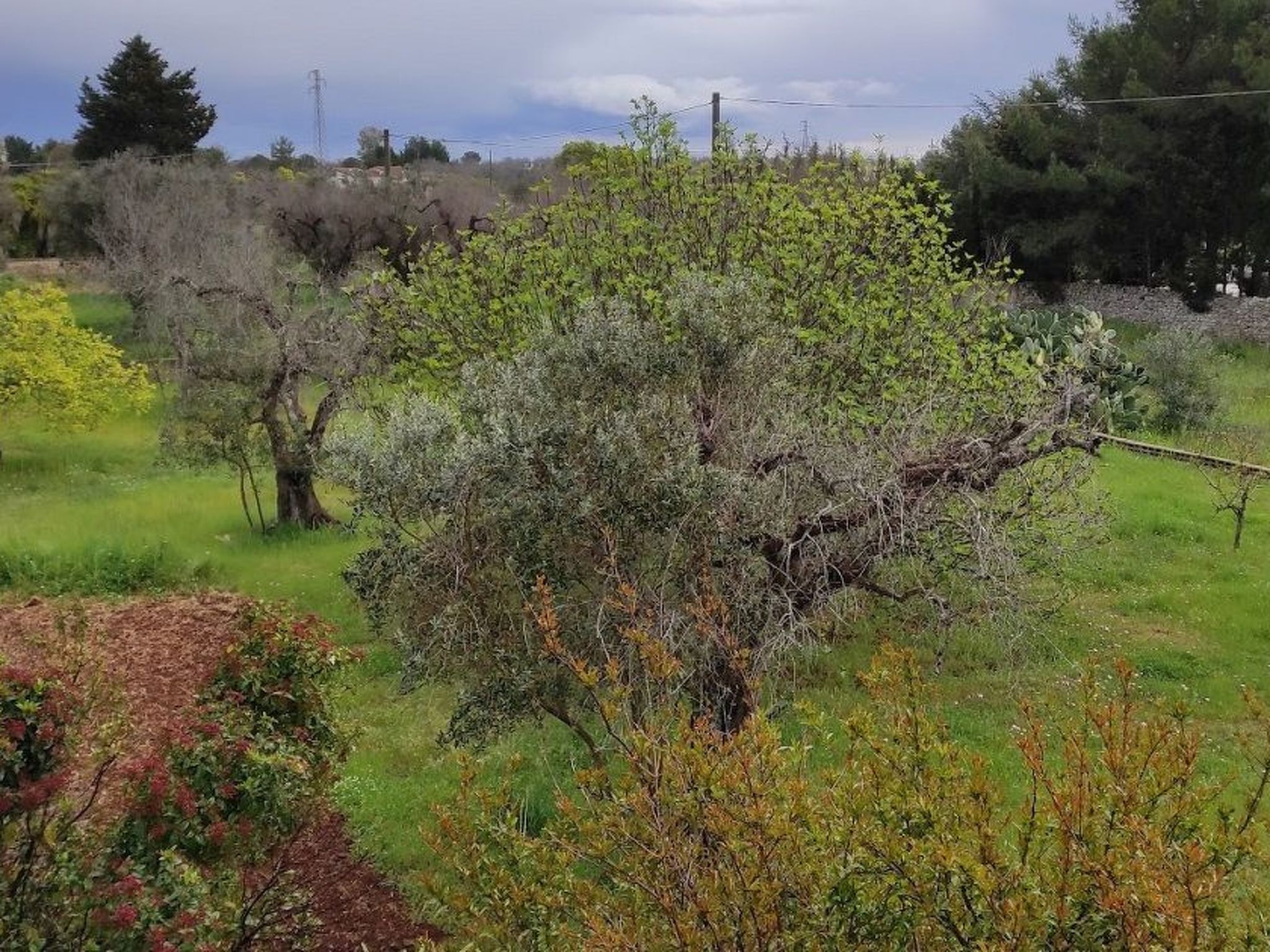 Villa Barone Landhaus mit Pool-Binnen