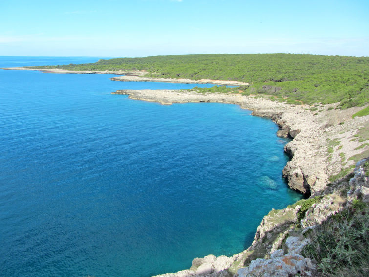 Photo of Camping La Masseria