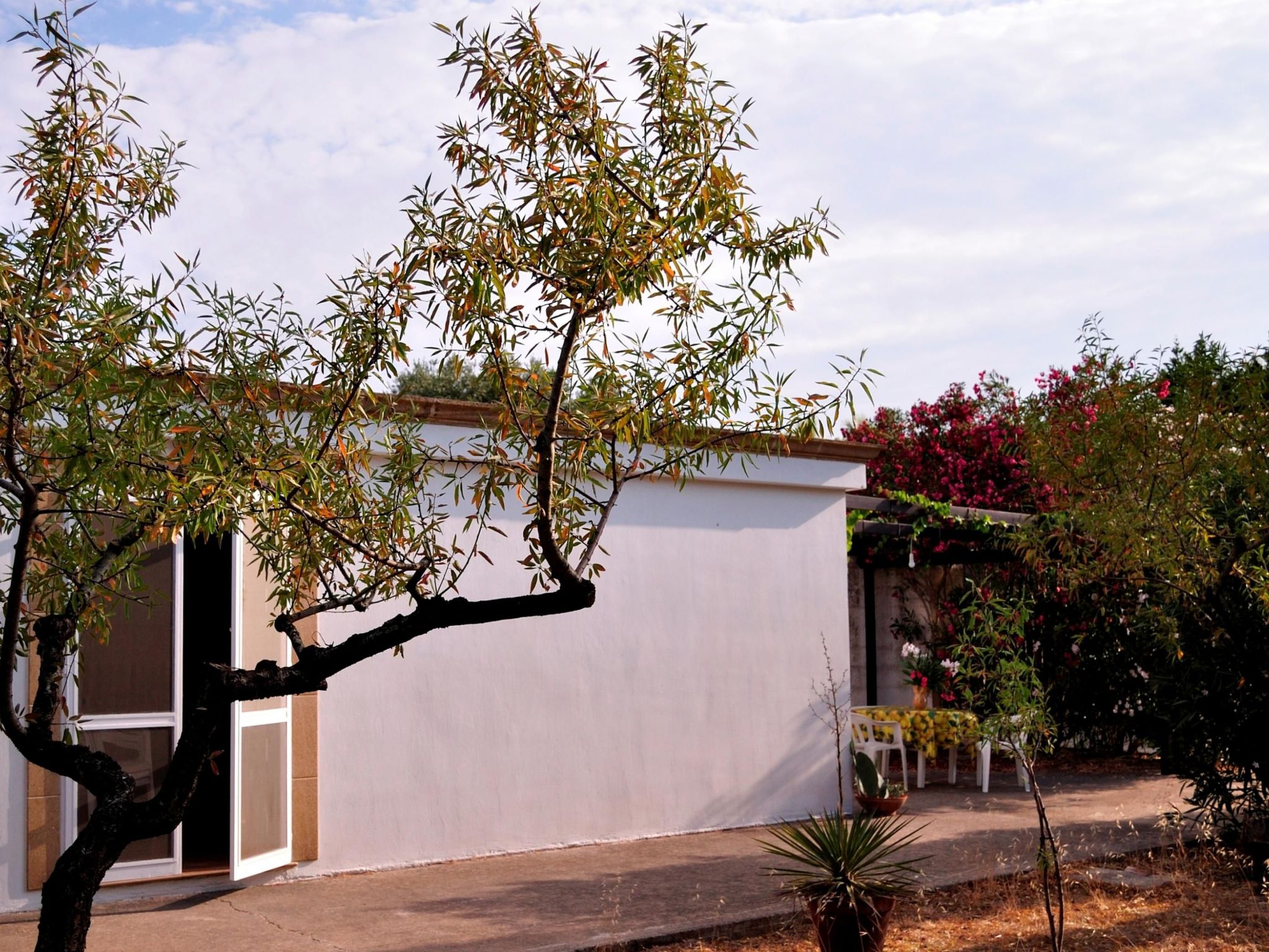 San Martino' Wohnung mit Privatparkplatz-Drinnen