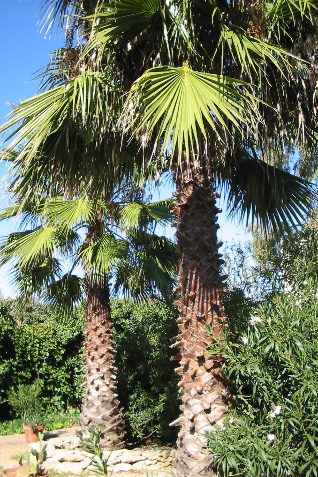 San Martino' Wohnung mit Privatparkplatz-Drinnen