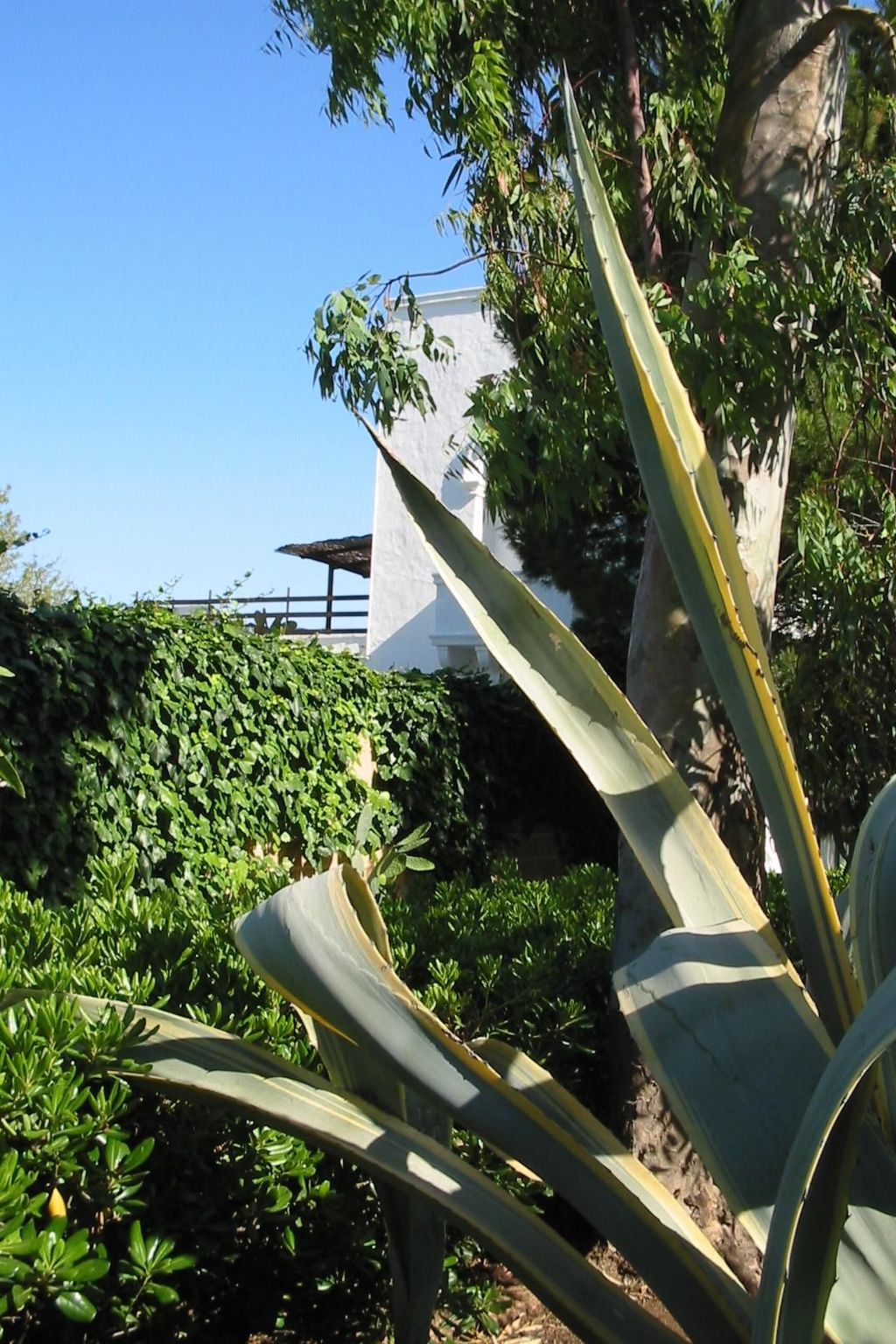 Altes Bauernhaus im Grünen-Inside