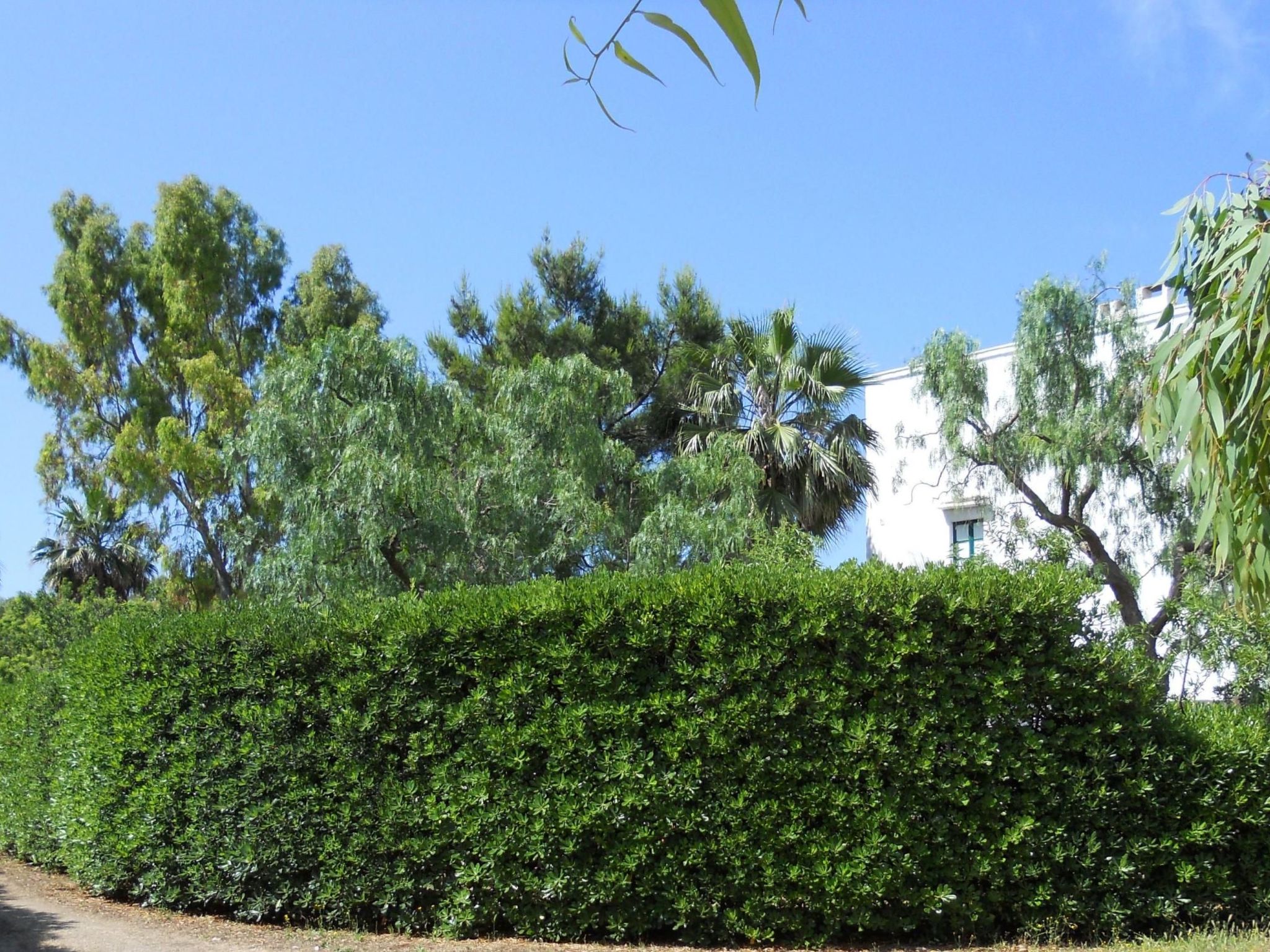 Altes Bauernhaus im Grünen-Inside