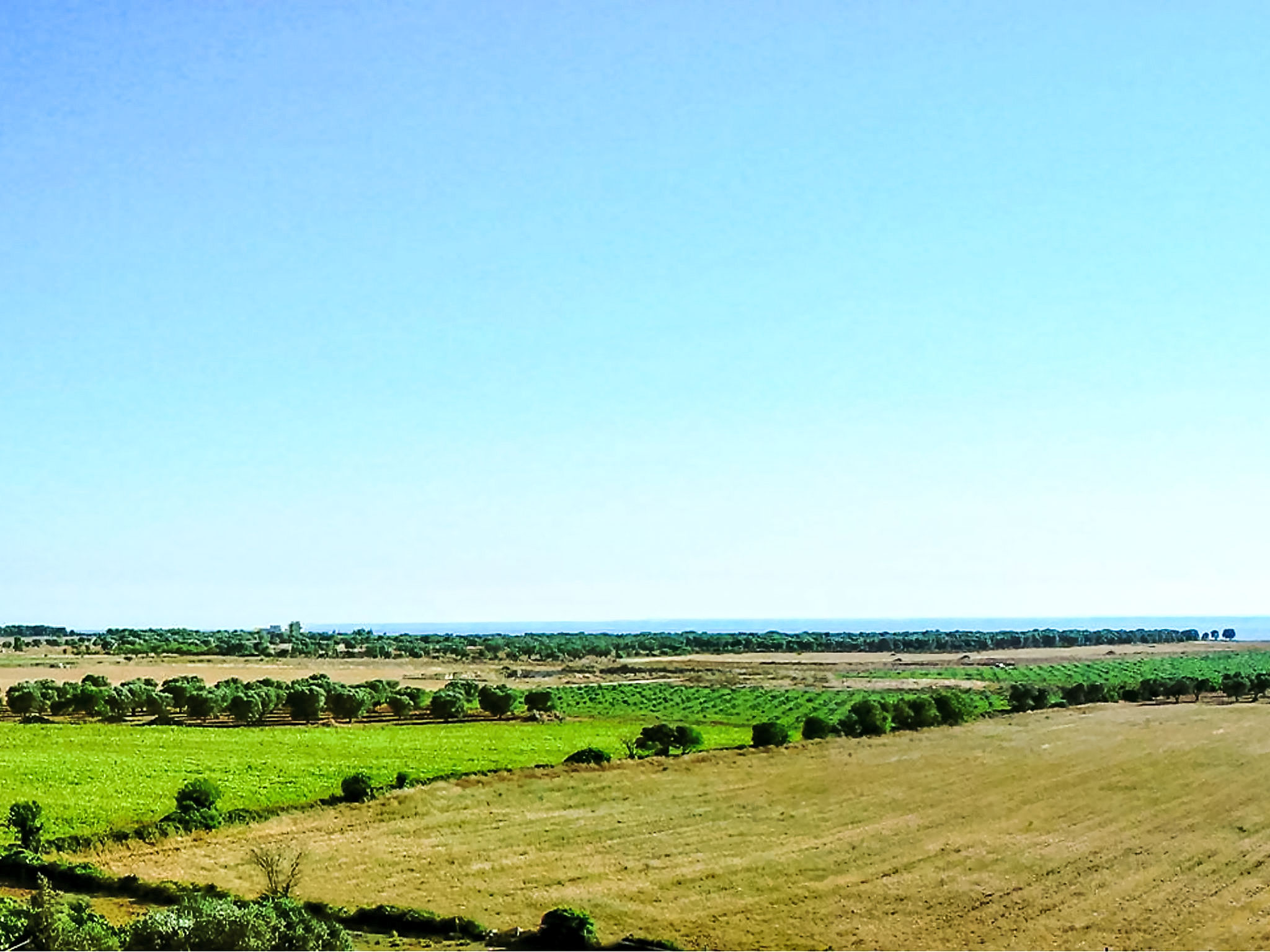 Photo of Tenuta Nucci