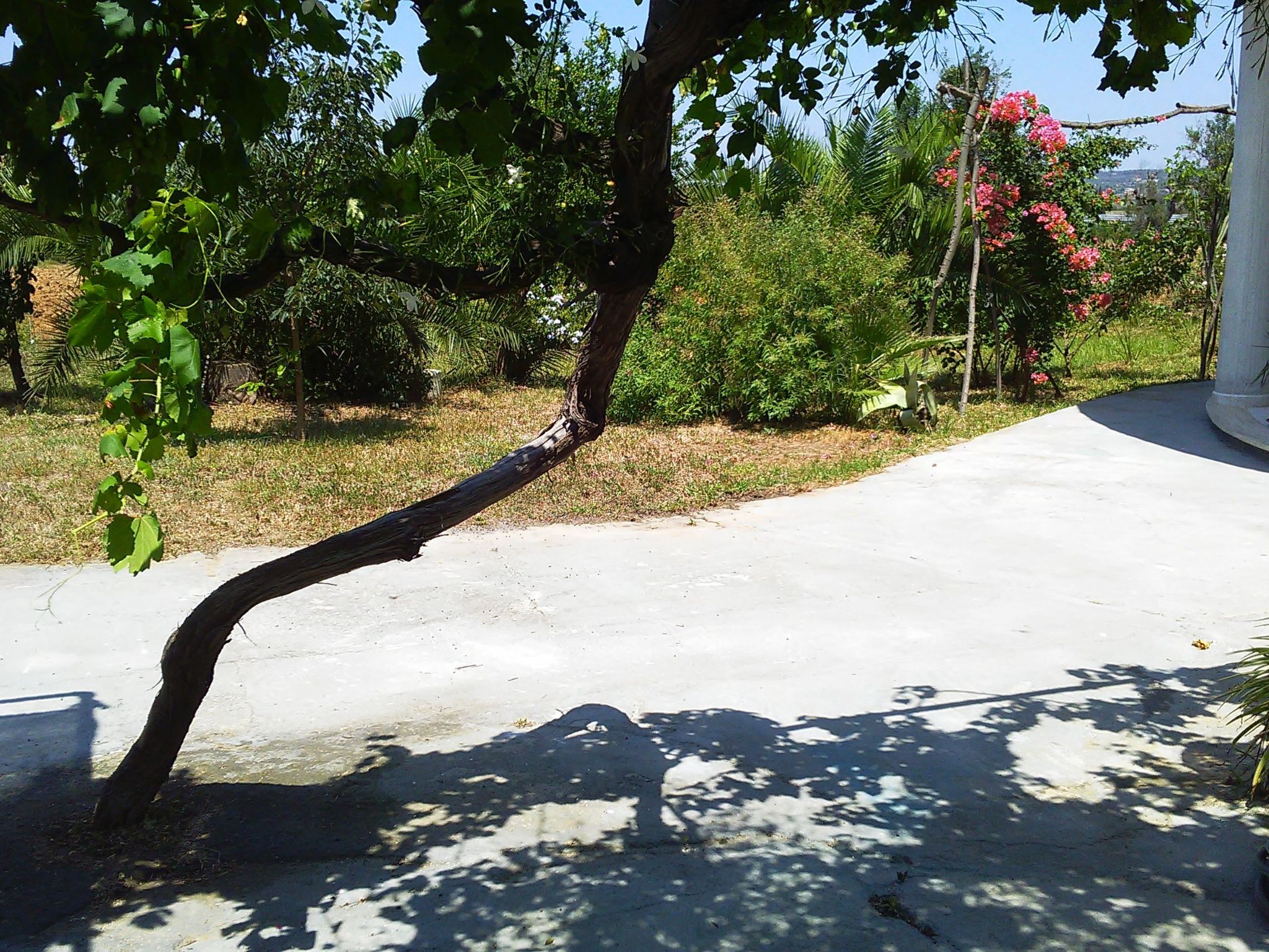 Kleine Villa mit geschlossenem Garten in Parabita-Binnen