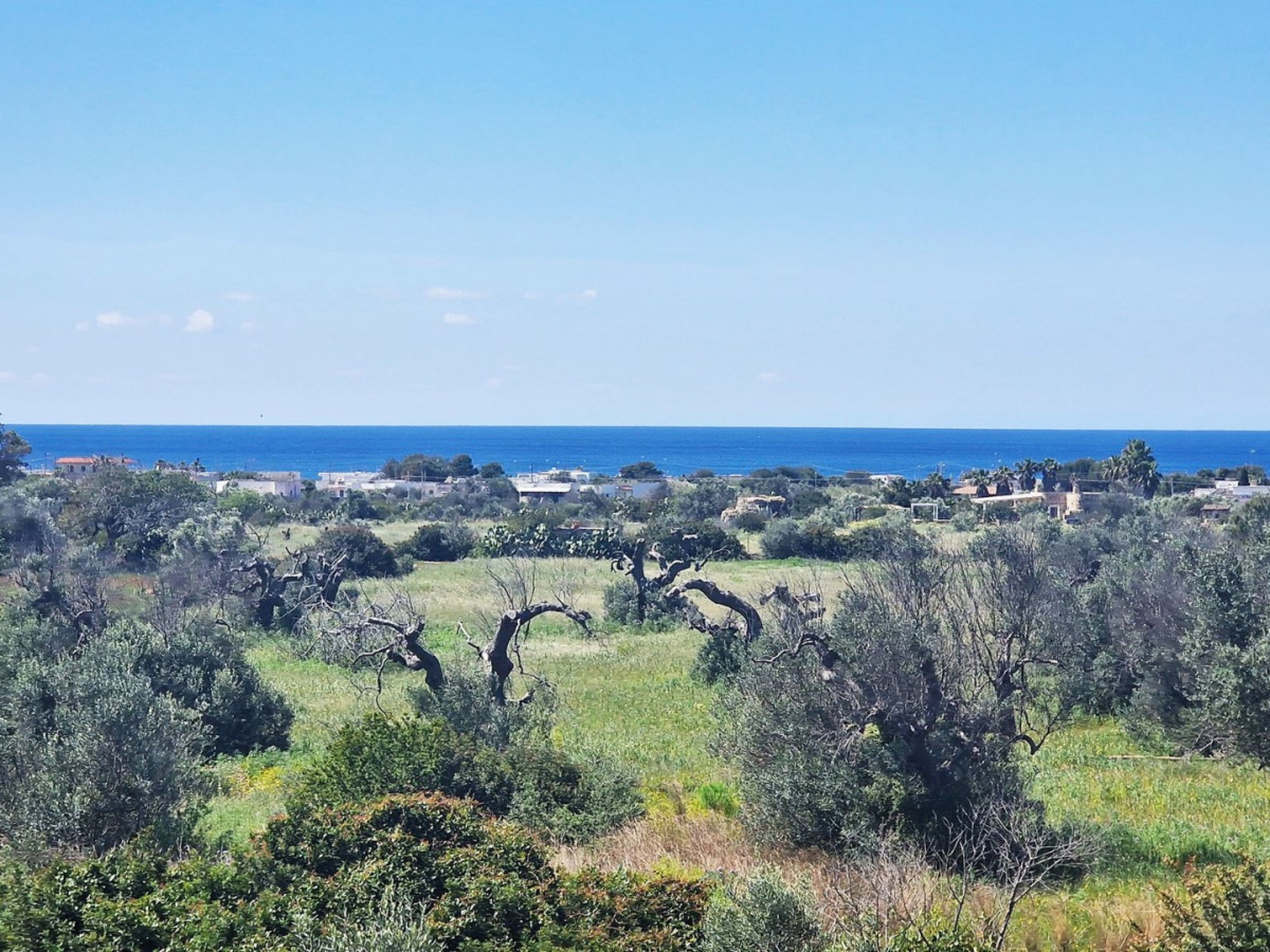 Tenuta Mimmi - Dedans
