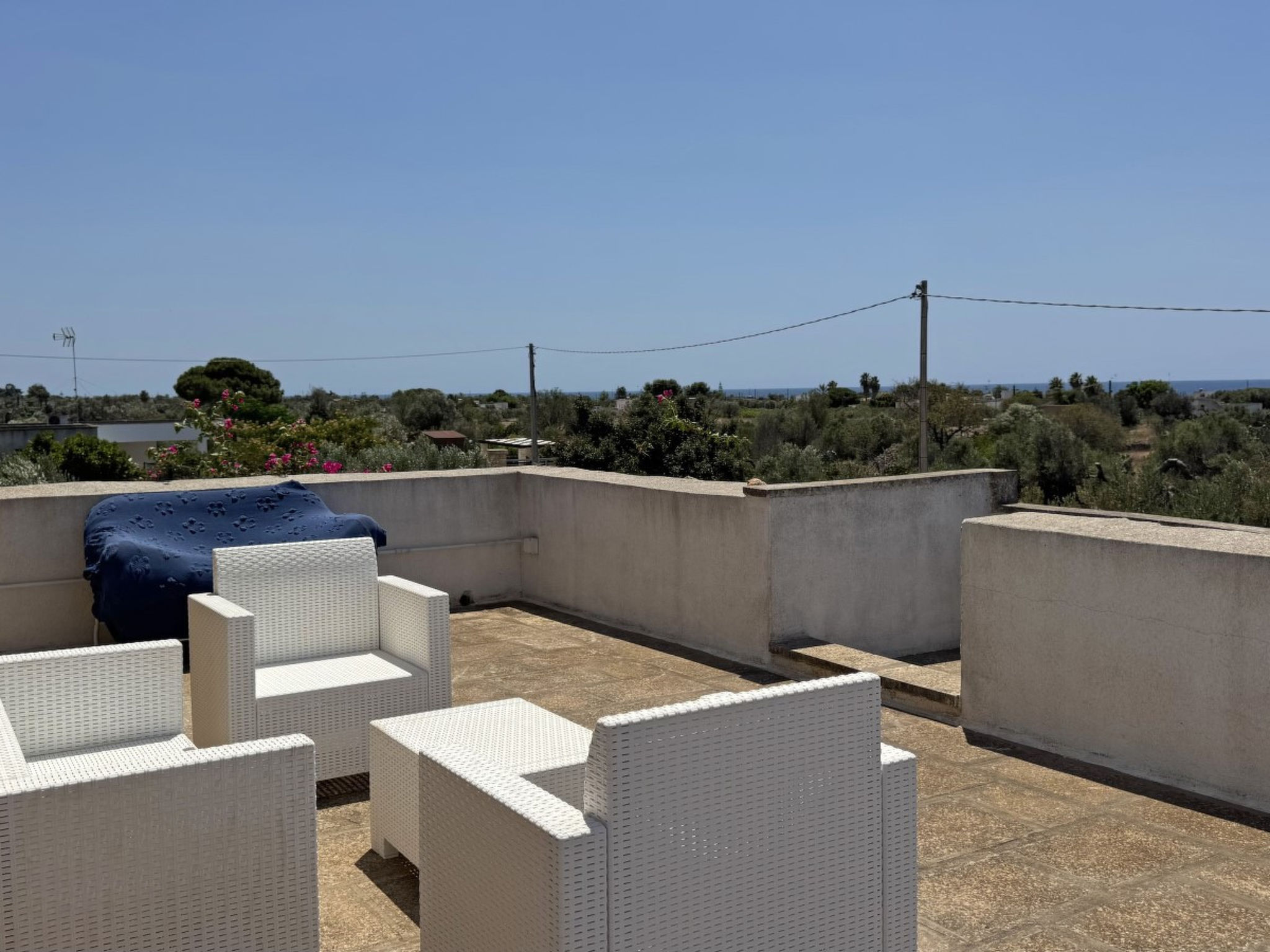 Tenuta Mimmi - Dedans