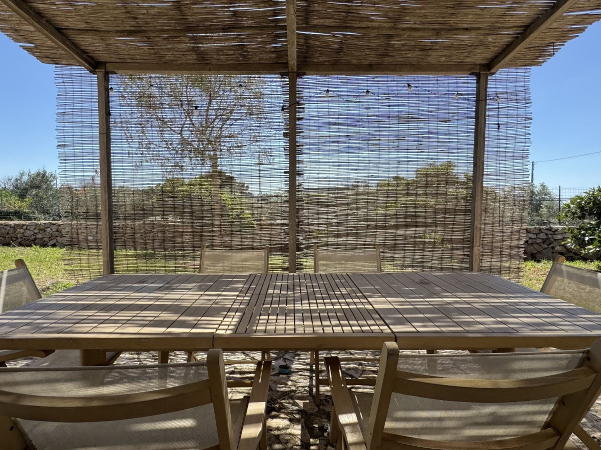 Tenuta Mimmi - Dedans