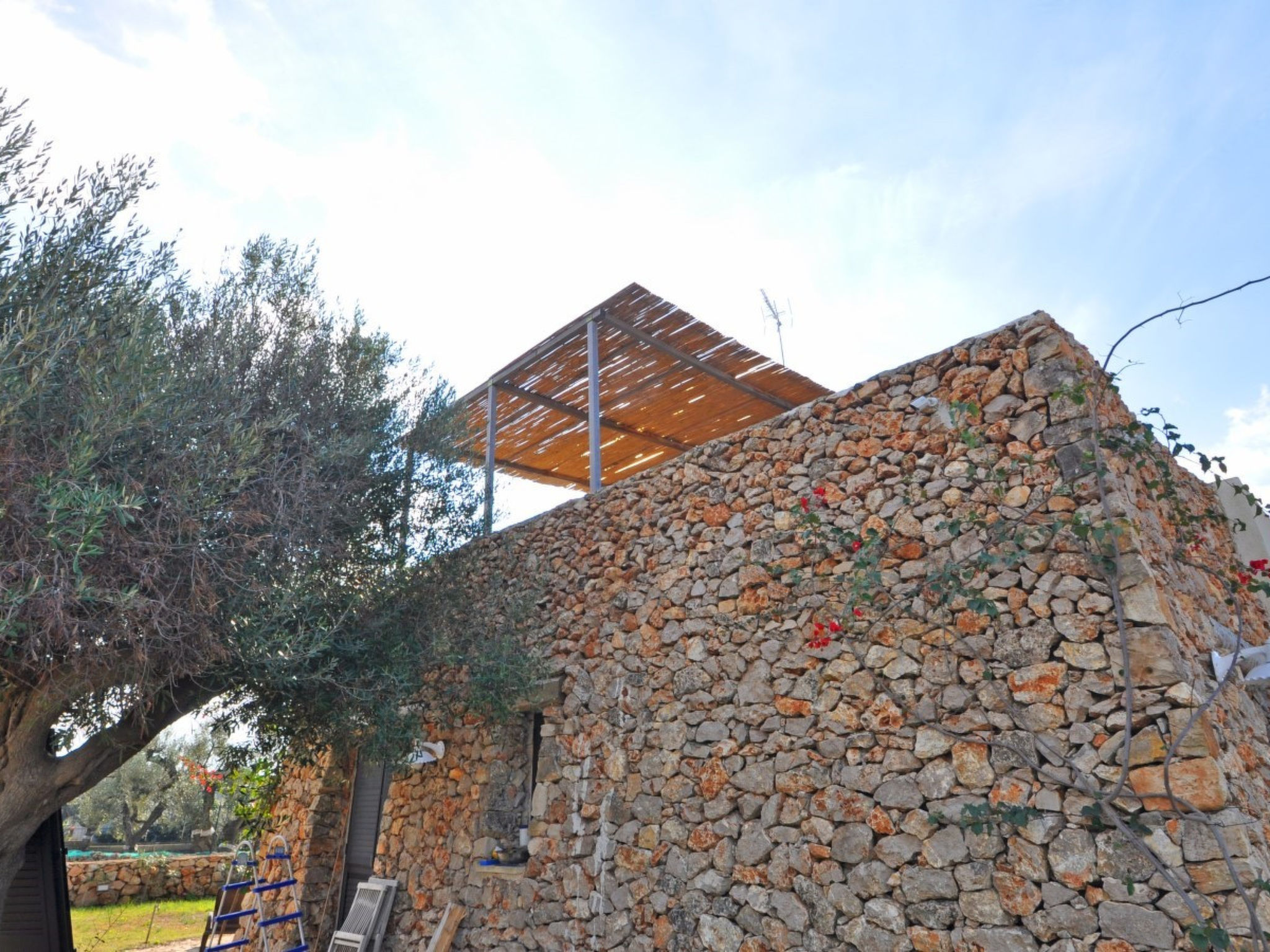 Tenuta Mimmi - Dedans