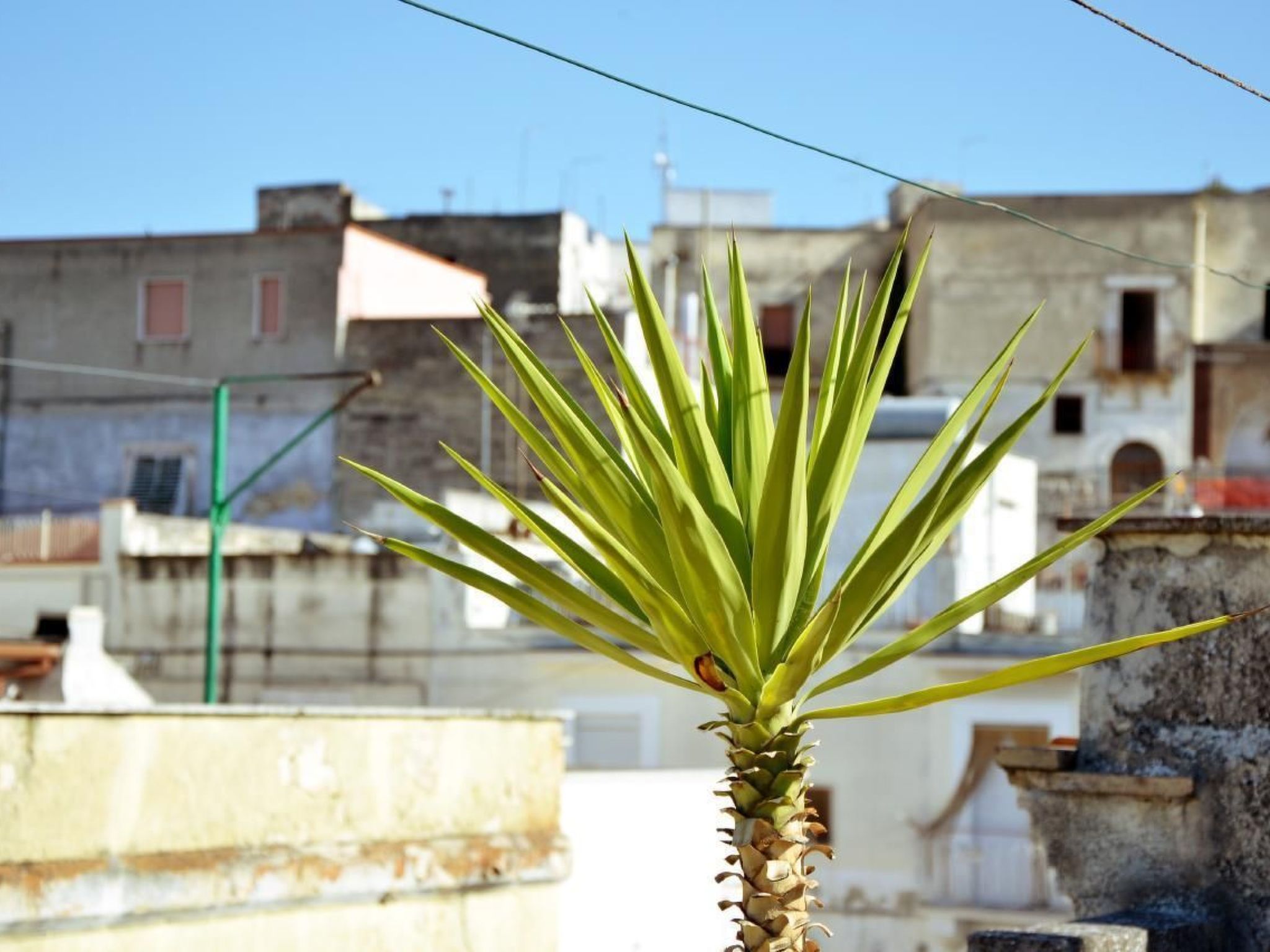 Casa Antica Canosa-Dedans