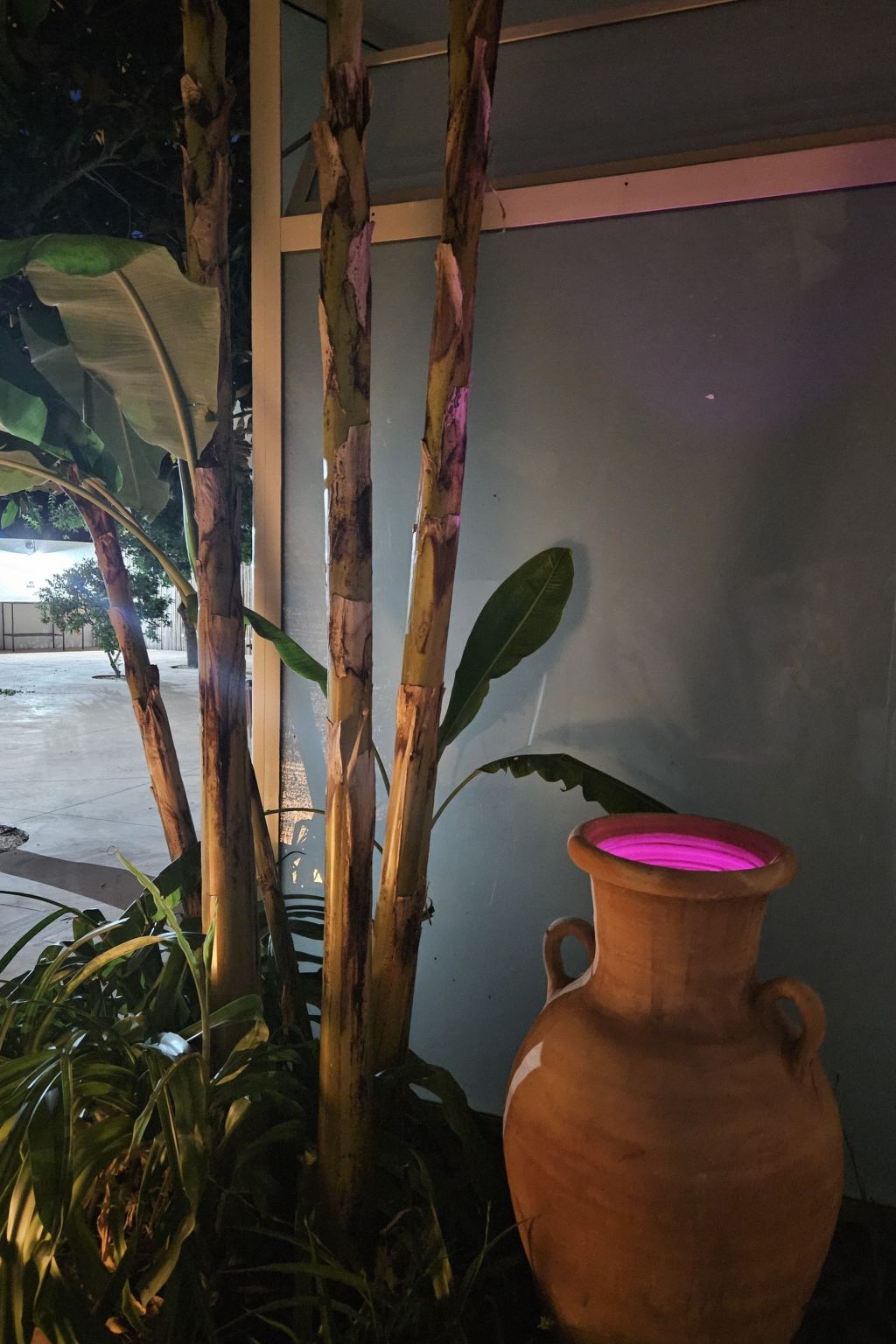 Wohnung 'Serendila' mit Wallbox-Image-tags.info