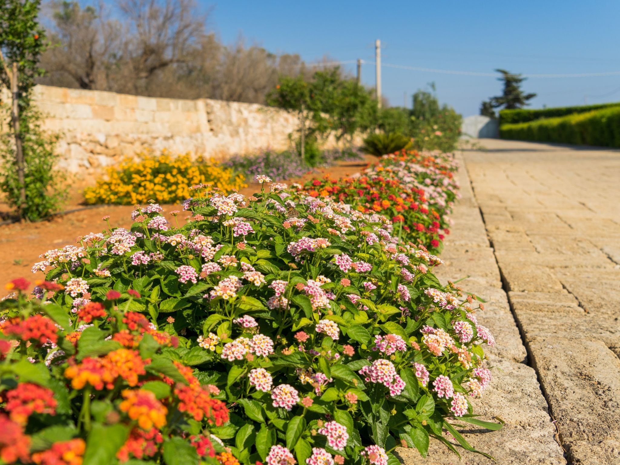 Wohnung 'Laurel Unit' mit Privatparkplatz-Dehors