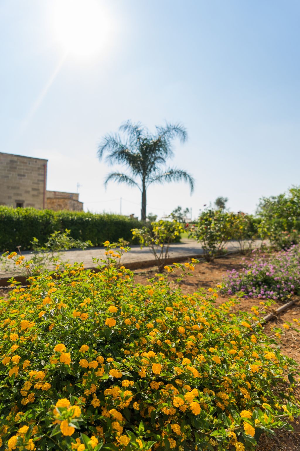 Wohnung 'Laurel Unit' mit Privatparkplatz-Dehors